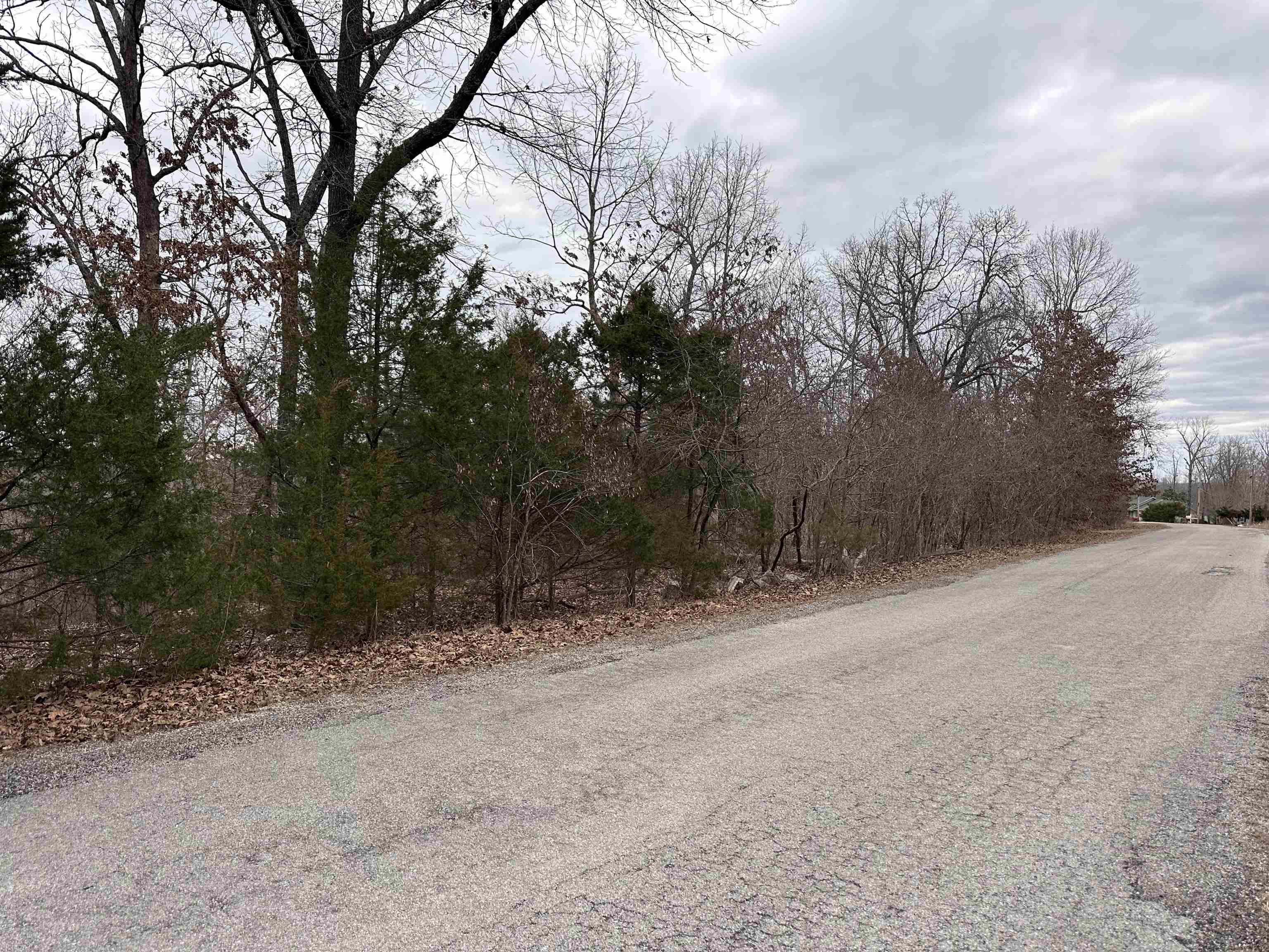 Photo 2 - Vacant Land for sale – 0  Loxahatchee   Cherokee Village, AR