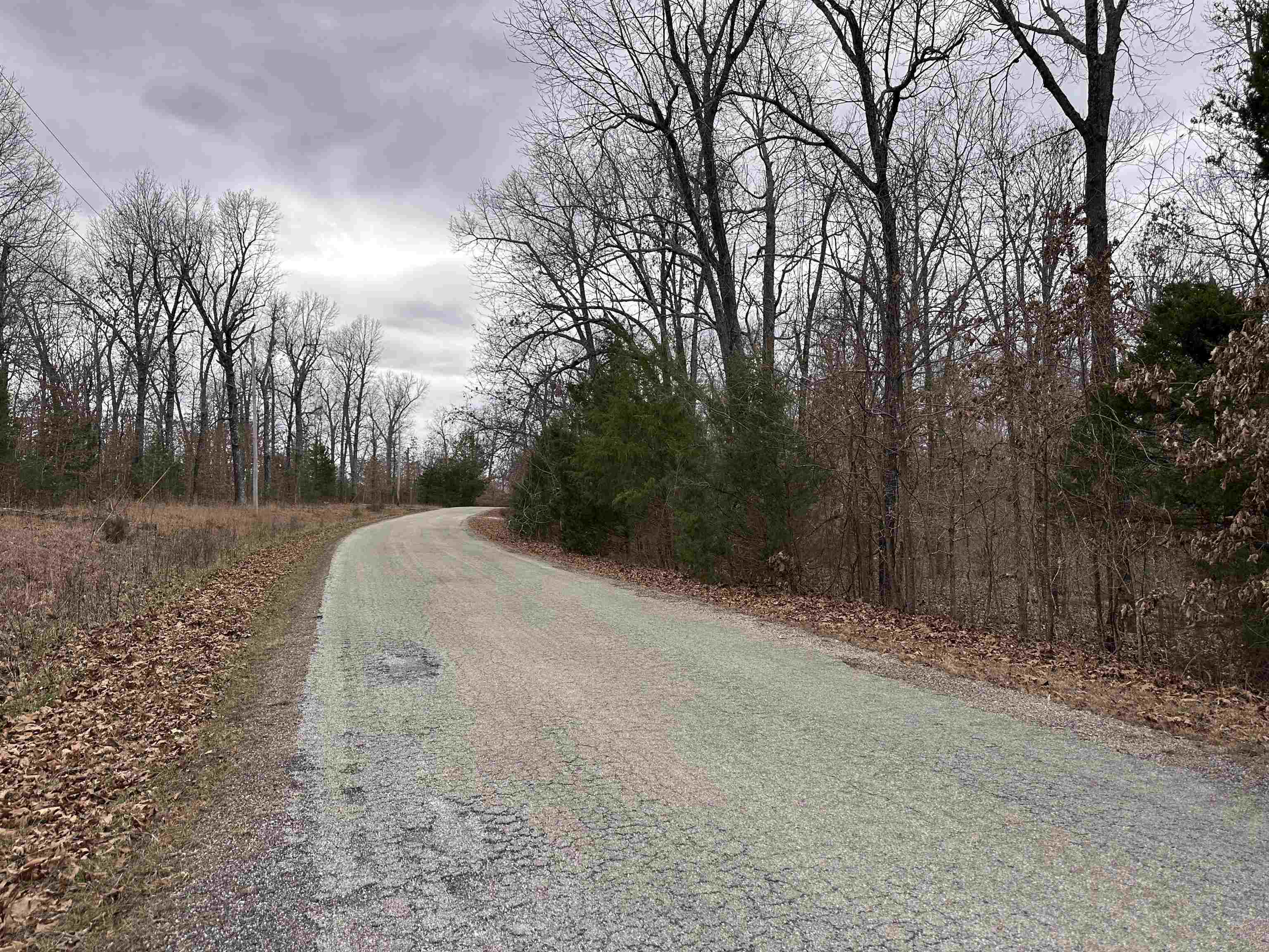 Photo 3 - Vacant Land for sale – 0  Loxahatchee   Cherokee Village, AR