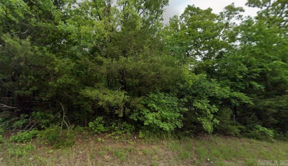 Photo 4 - Vacant Land for sale – 301  Pavilion   Horseshoe Bend, AR