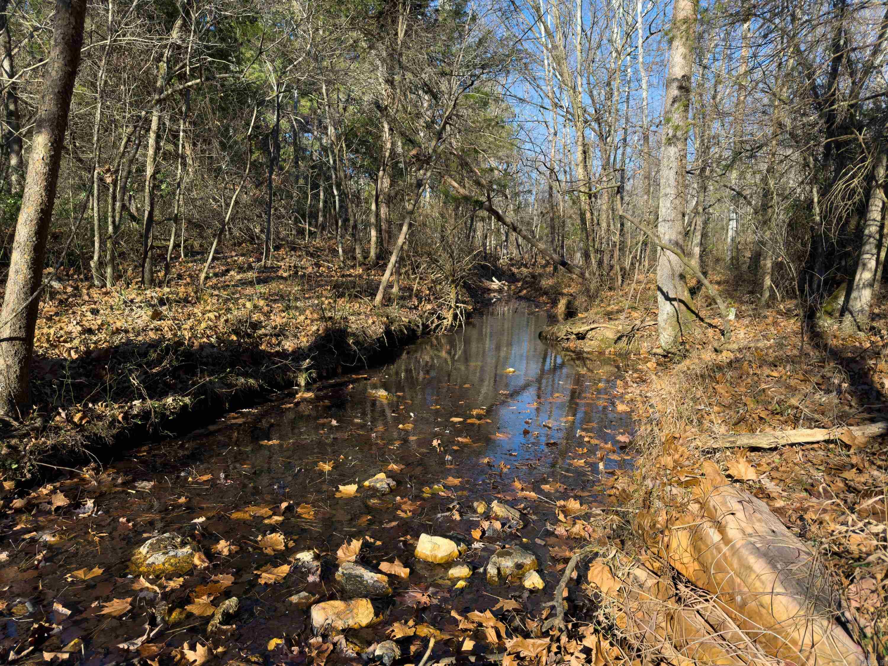 Photo 2 - Vacant Land for sale –   Pleasant Run Rd   Mammoth Spring, AR