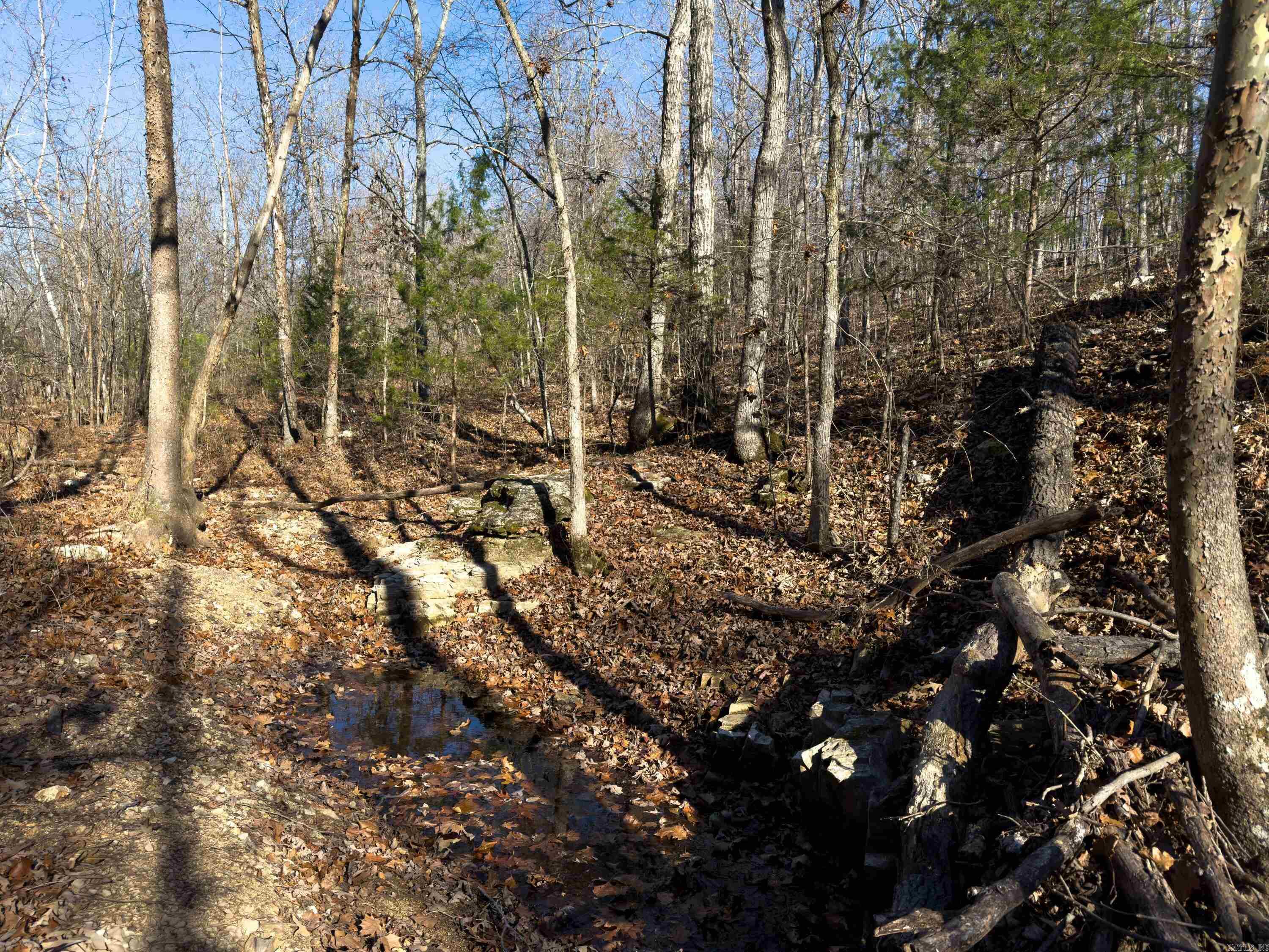 Photo 11 - Vacant Land for sale –   Pleasant Run Rd   Mammoth Spring, AR