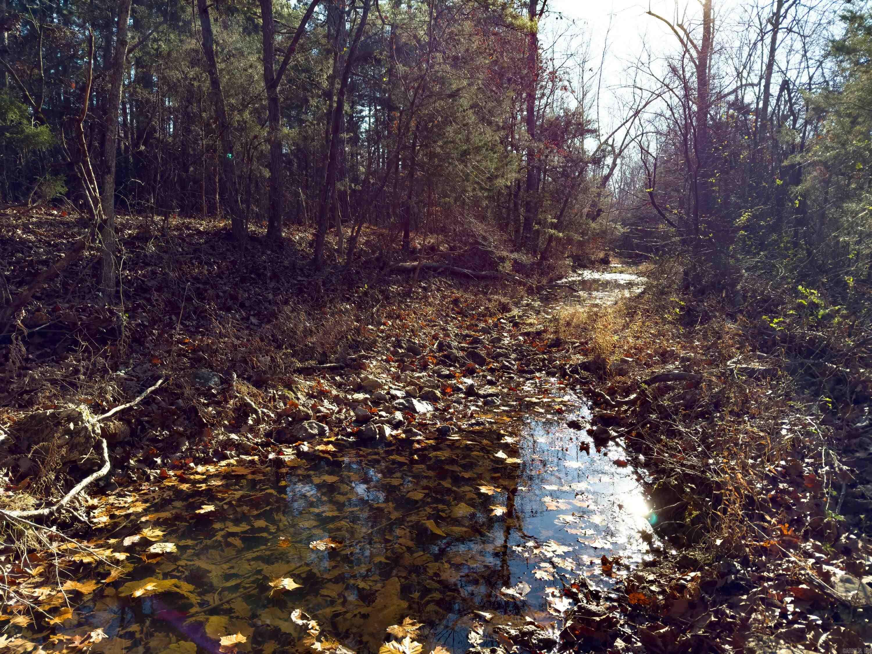 Photo 12 - Vacant Land for sale –   Pleasant Run Rd   Mammoth Spring, AR