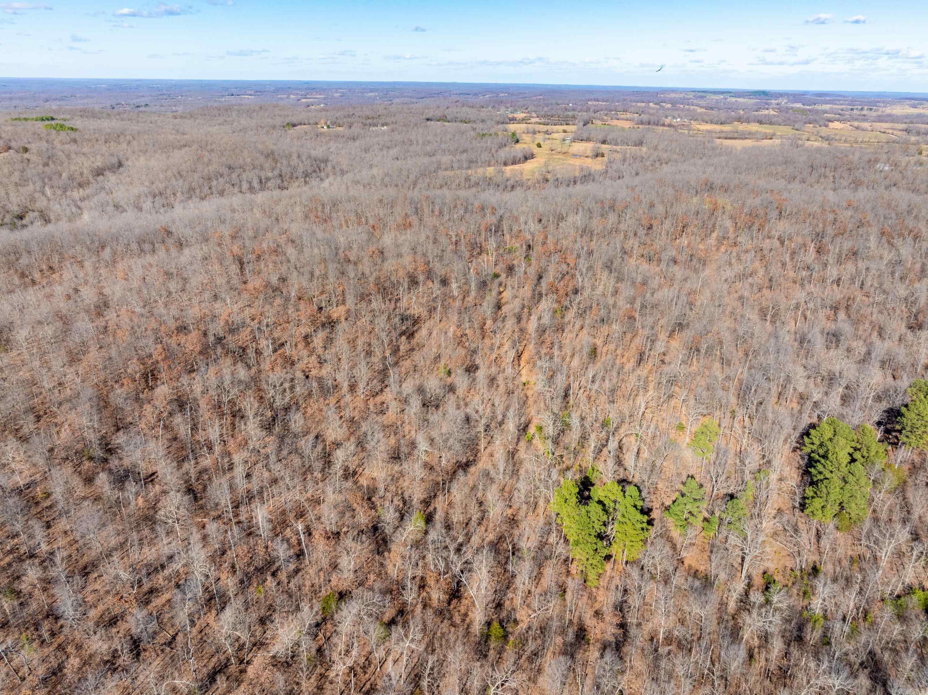 Photo 14 - Vacant Land for sale –   Pleasant Run Rd   Mammoth Spring, AR