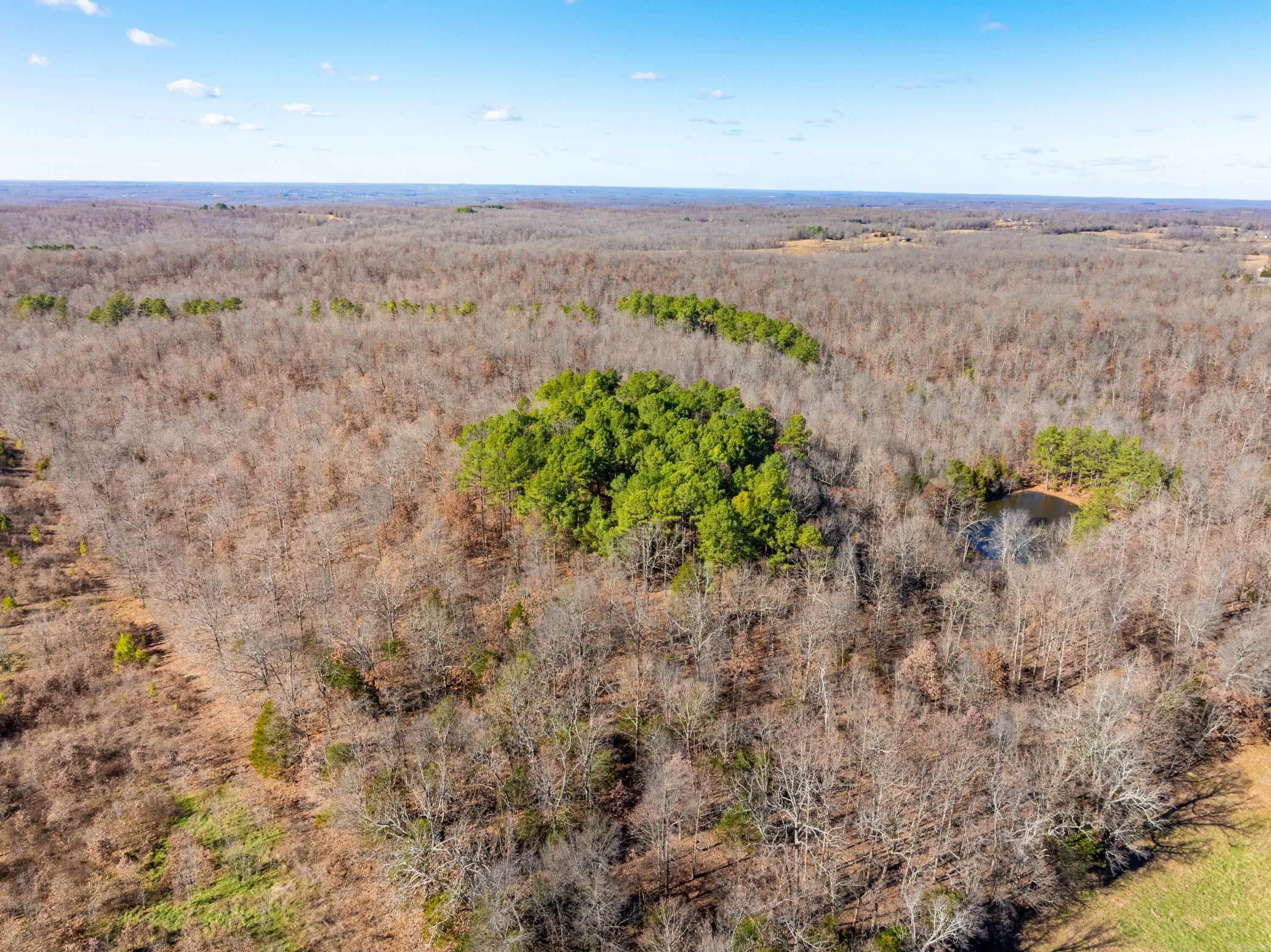 Photo 15 - Vacant Land for sale –   Pleasant Run Rd   Mammoth Spring, AR