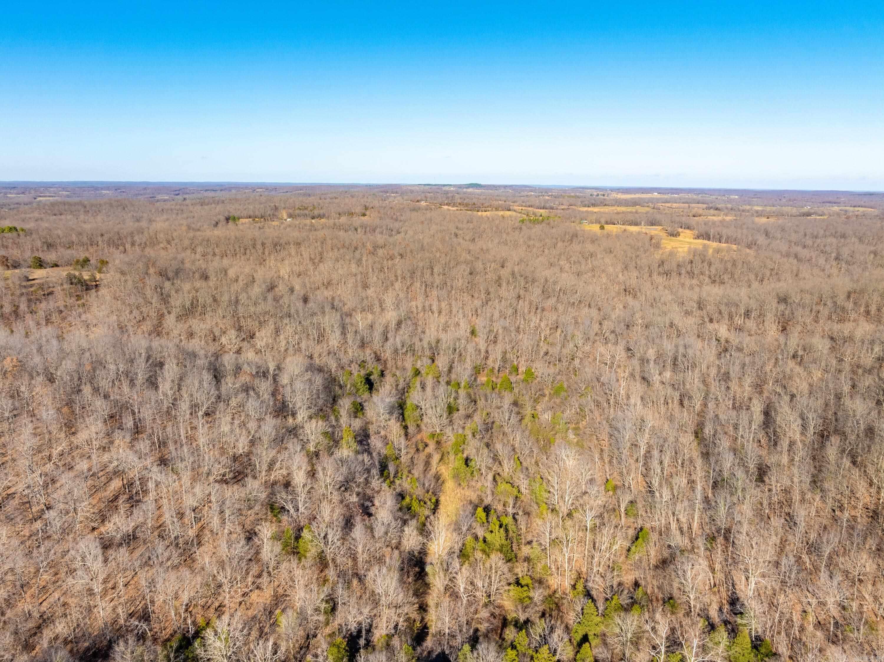 Photo 16 - Vacant Land for sale –   Pleasant Run Rd   Mammoth Spring, AR