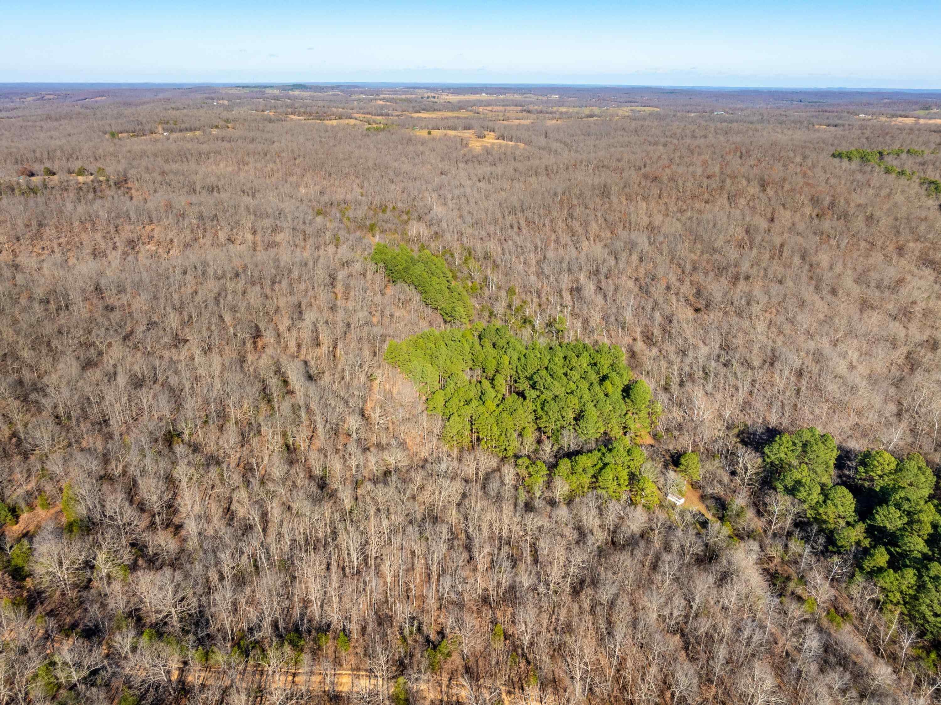 Photo 17 - Vacant Land for sale –   Pleasant Run Rd   Mammoth Spring, AR