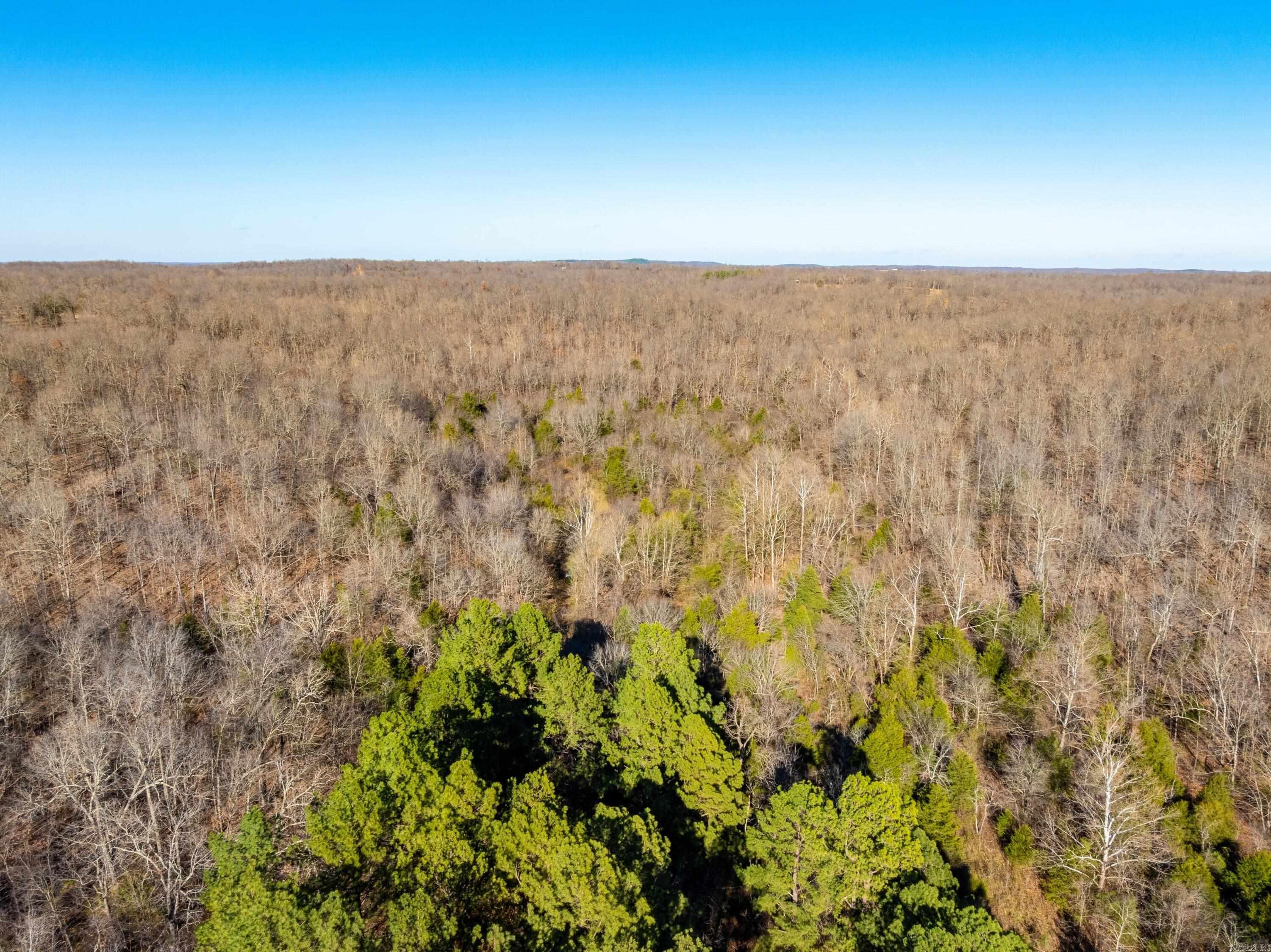 Photo 18 - Vacant Land for sale –   Pleasant Run Rd   Mammoth Spring, AR