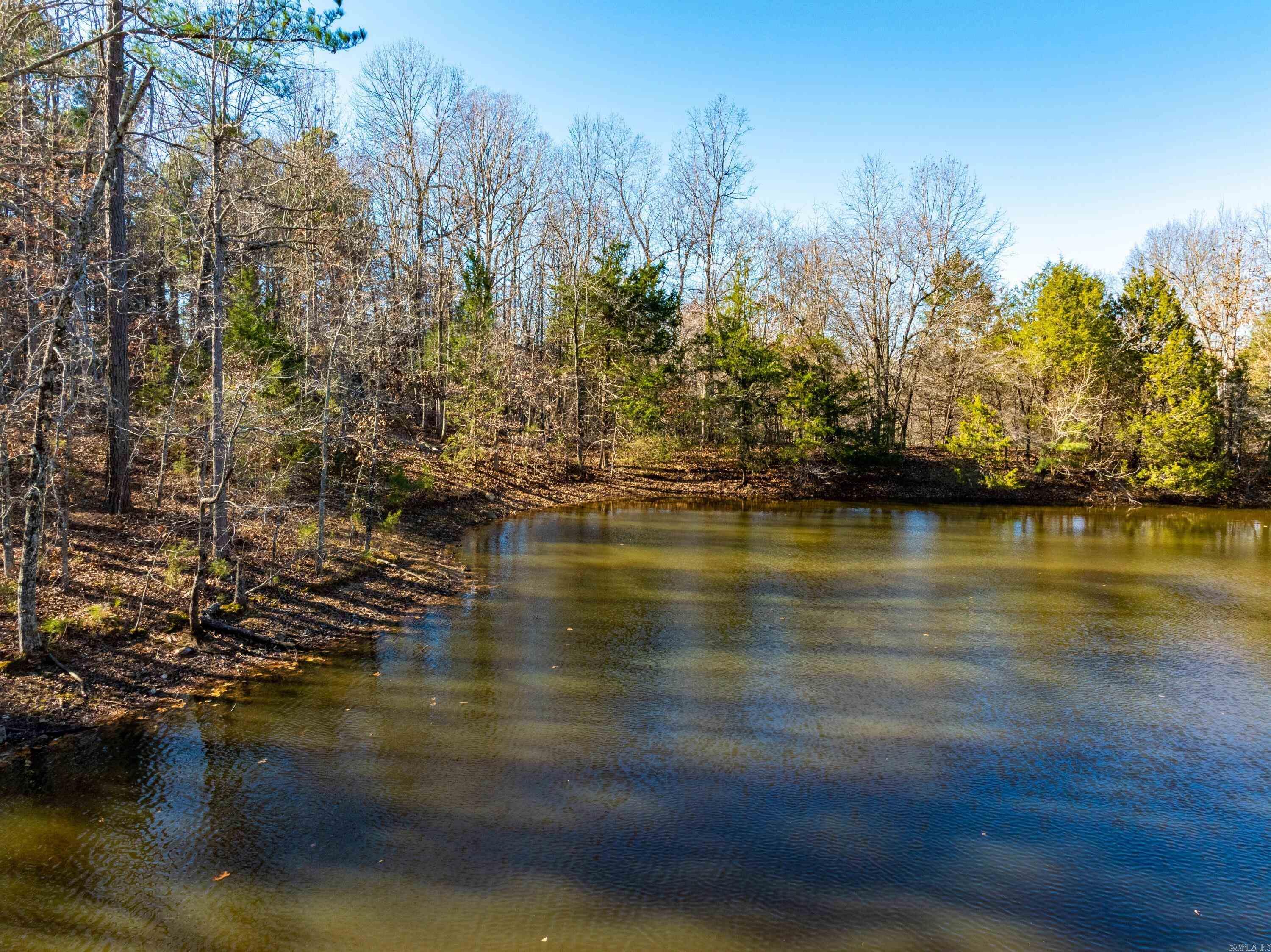Photo 20 - Vacant Land for sale –   Pleasant Run Rd   Mammoth Spring, AR
