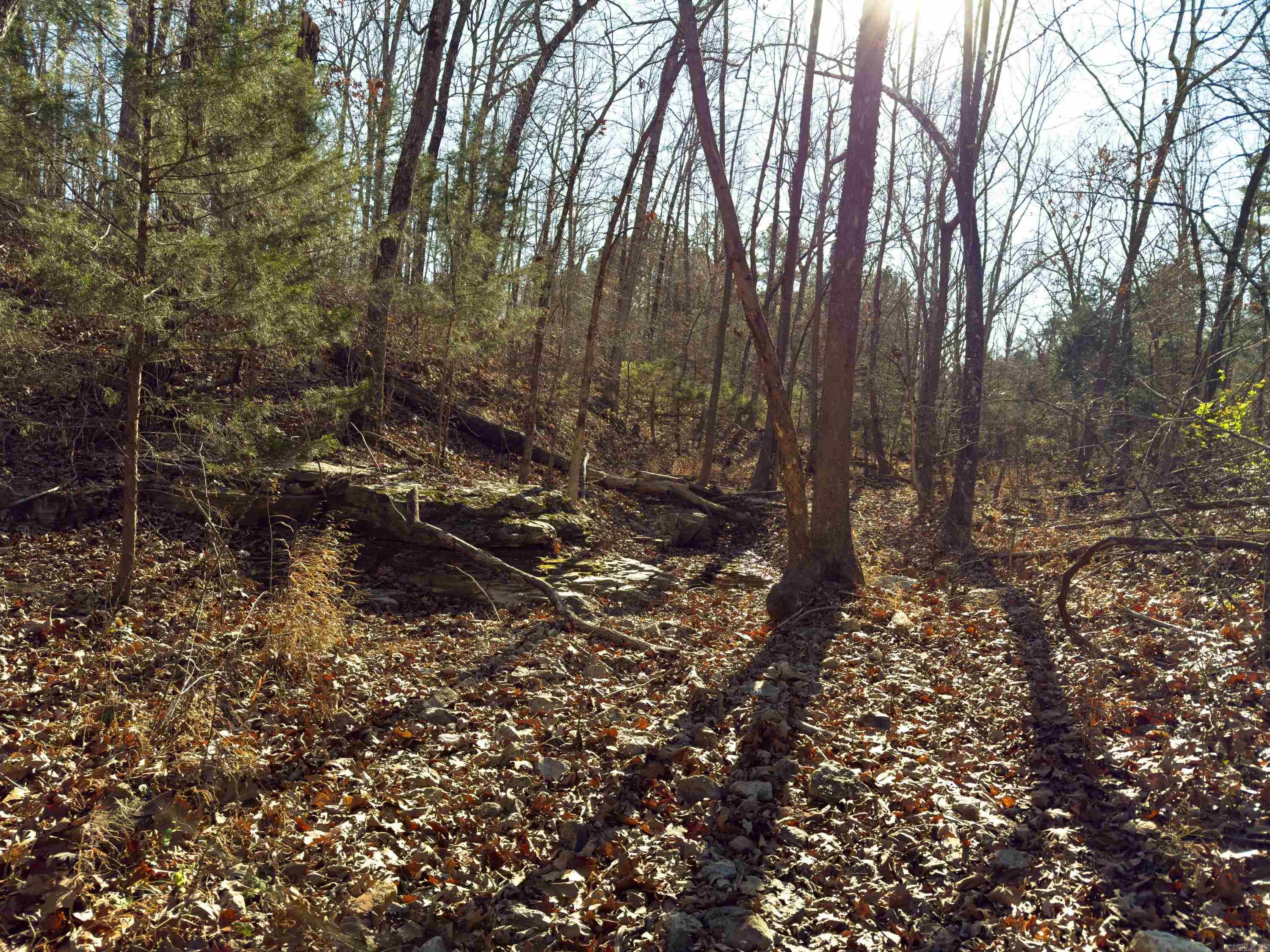 Photo 3 - Vacant Land for sale –   Pleasant Run Rd   Mammoth Spring, AR