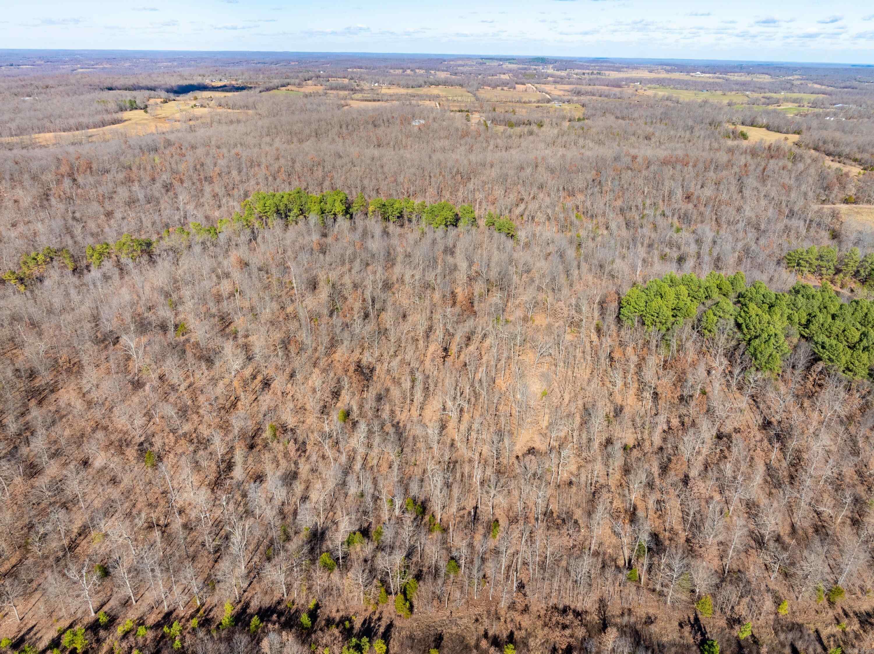 Photo 4 - Vacant Land for sale –   Pleasant Run Rd   Mammoth Spring, AR