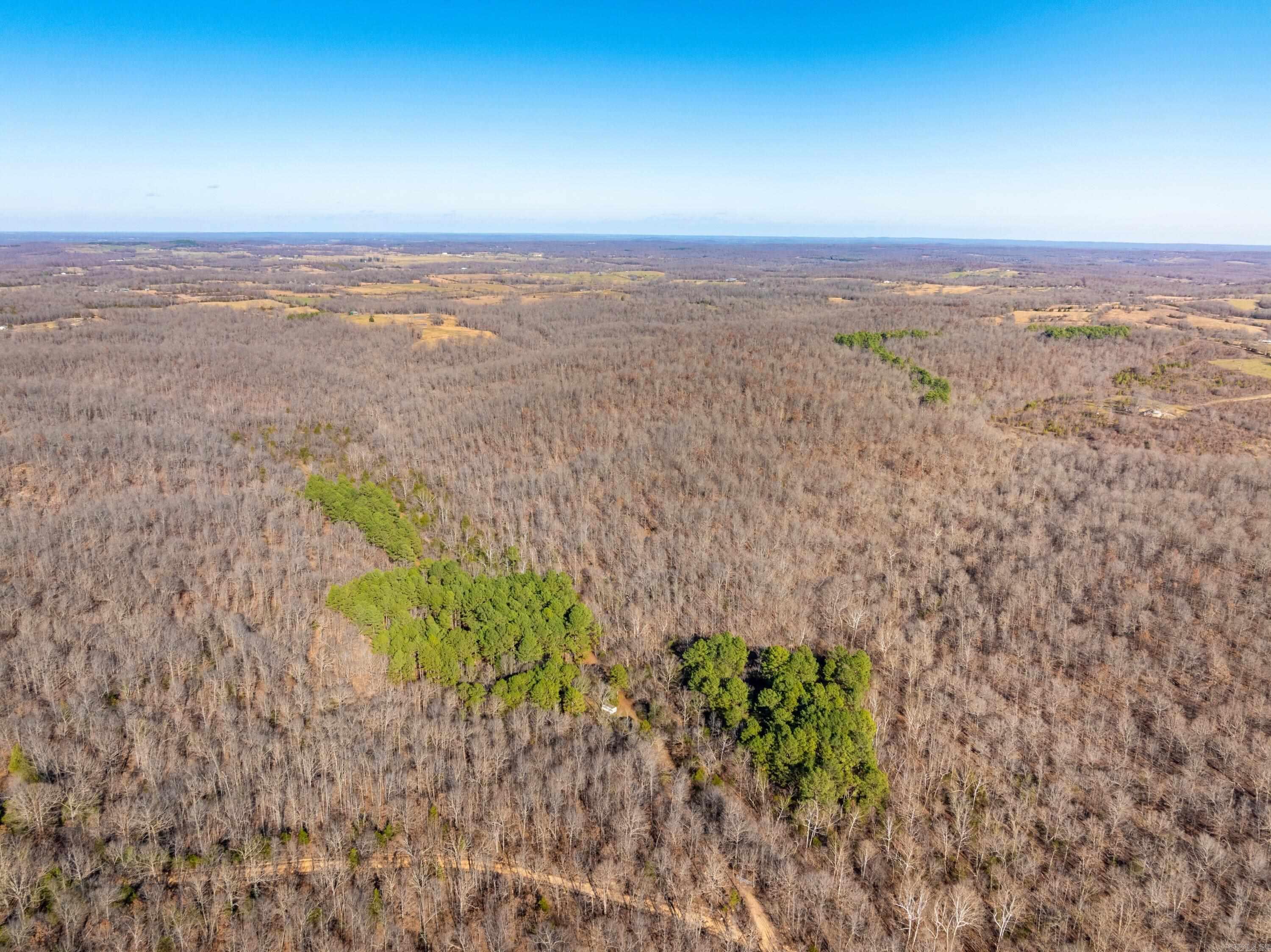 Photo 5 - Vacant Land for sale –   Pleasant Run Rd   Mammoth Spring, AR
