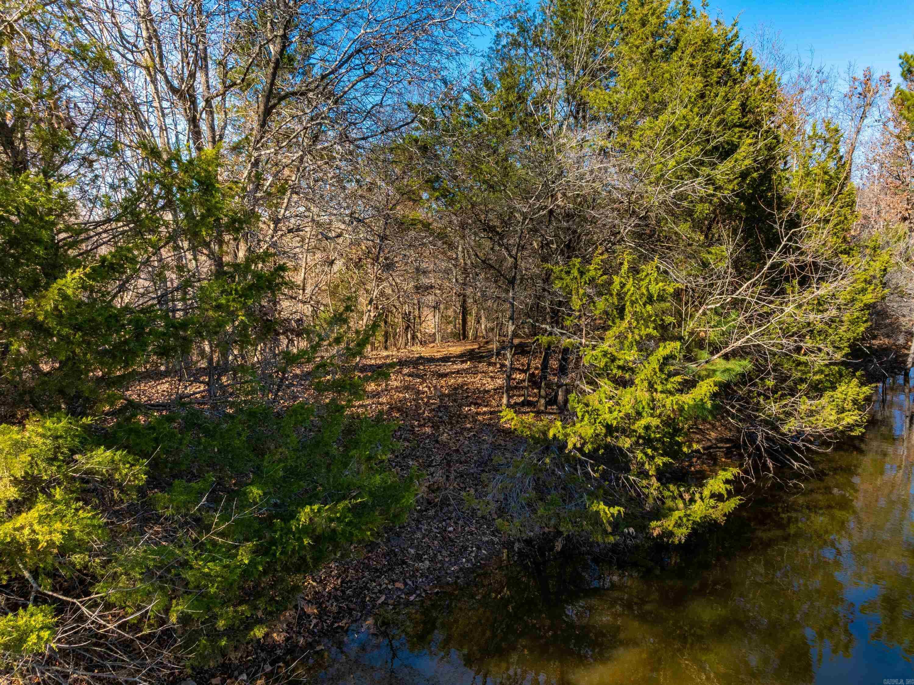 Photo 8 - Vacant Land for sale –   Pleasant Run Rd   Mammoth Spring, AR