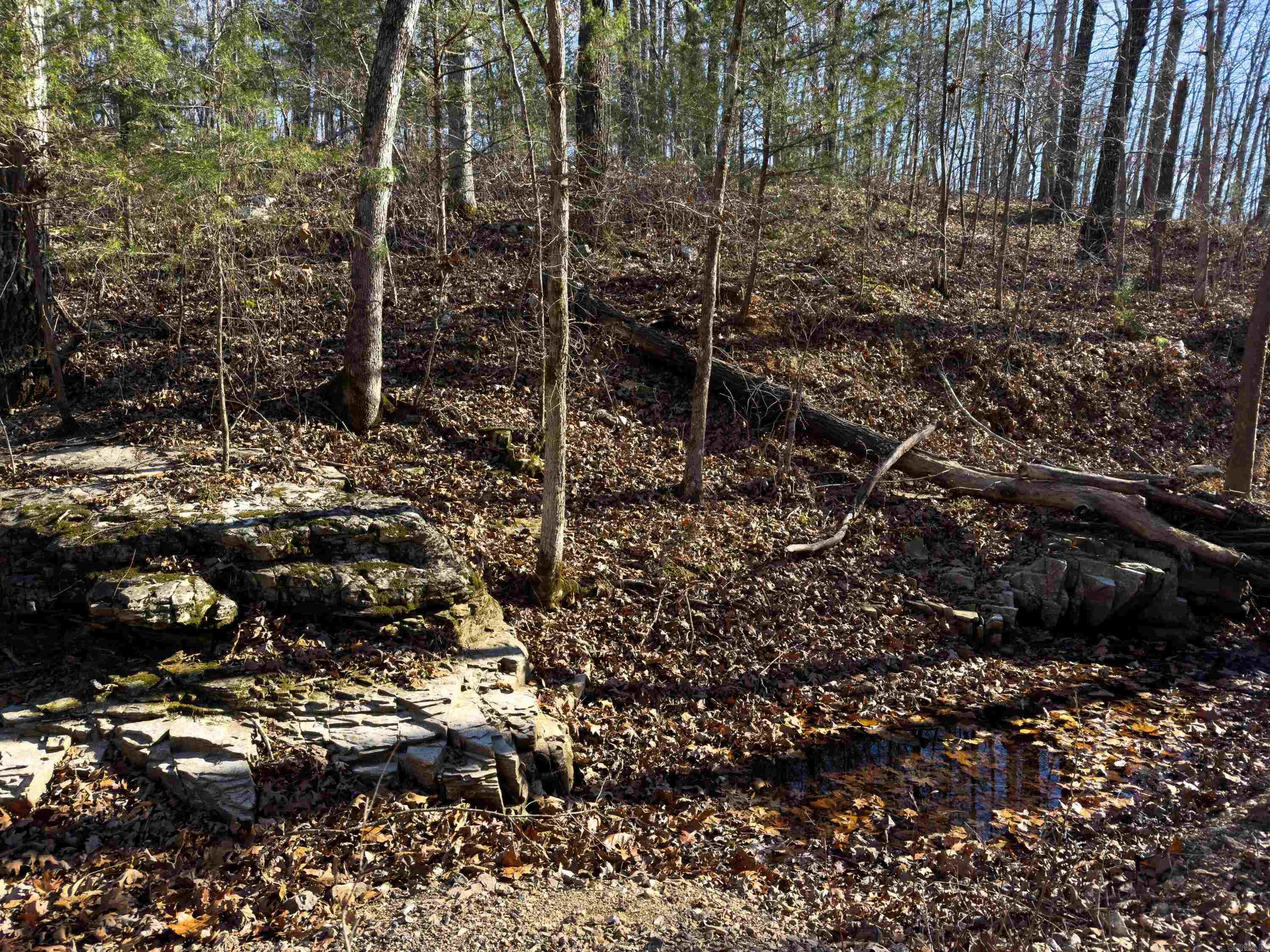 Photo 10 - Vacant Land for sale –   Pleasant Run Rd   Mammoth Spring, AR