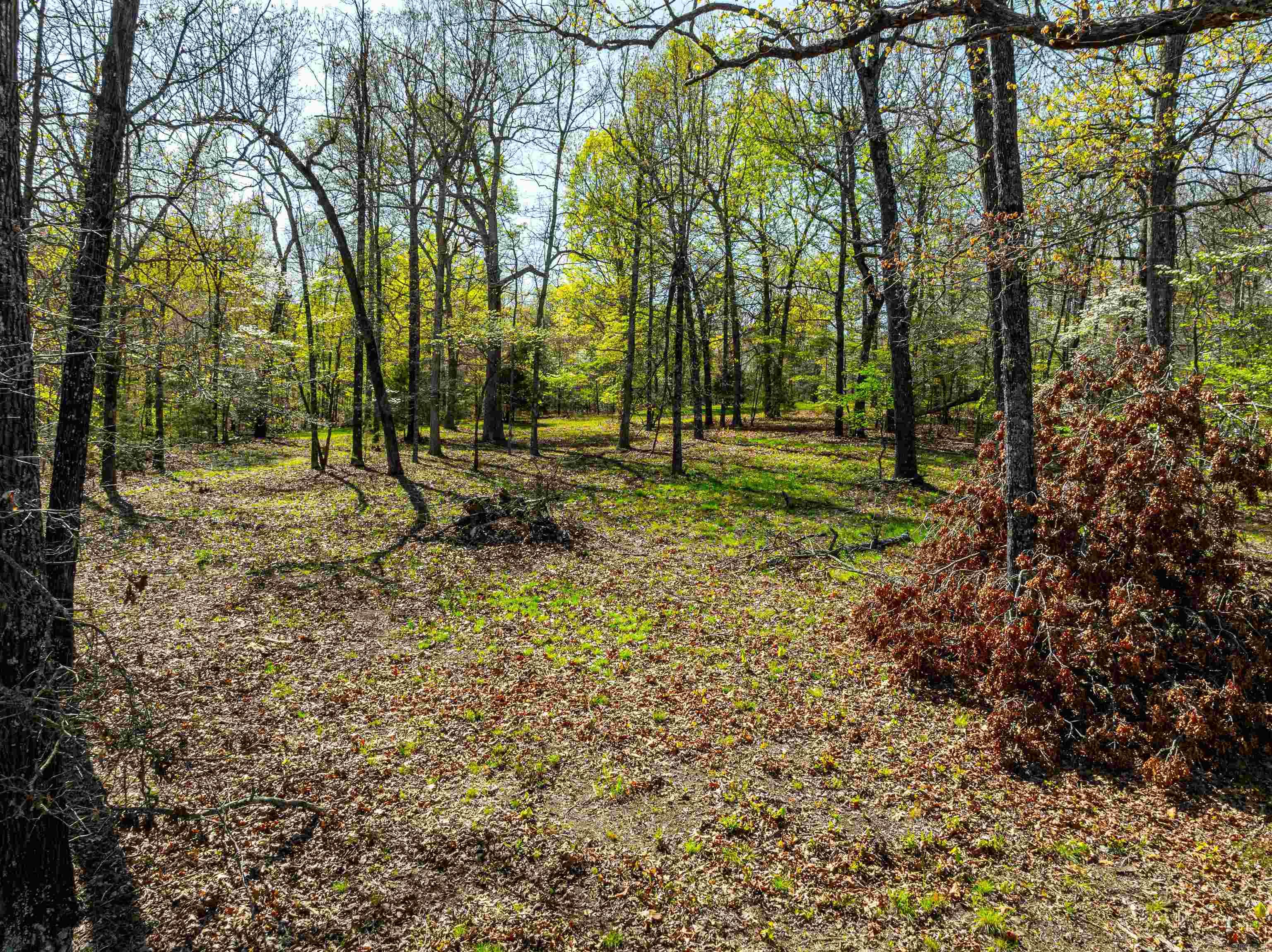 Photo 11 - Vacant Land for sale – 0  Everett Trl   Oxford, AR