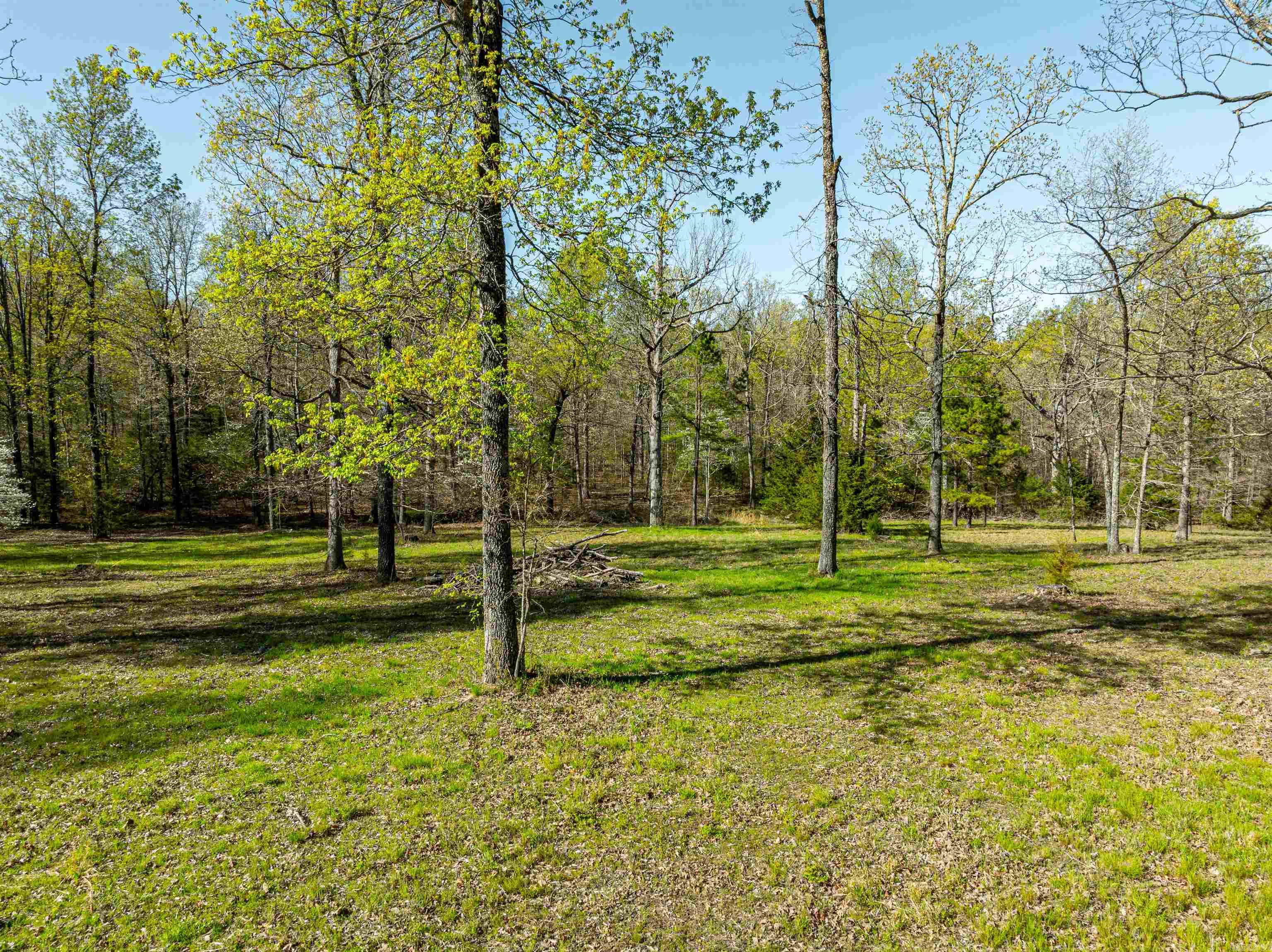 Photo 12 - Vacant Land for sale – 0  Everett Trl   Oxford, AR