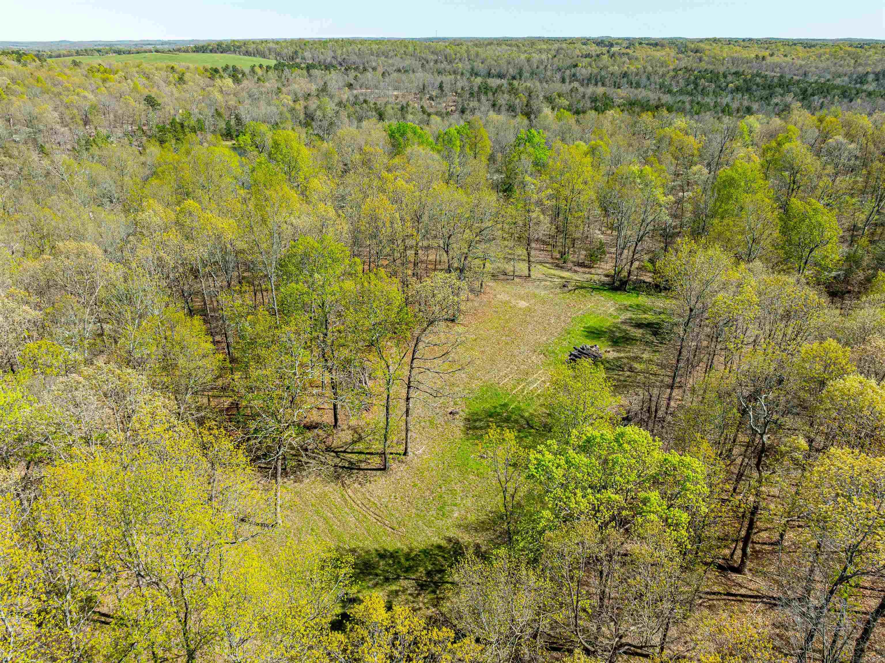 Photo 13 - Vacant Land for sale – 0  Everett Trl   Oxford, AR