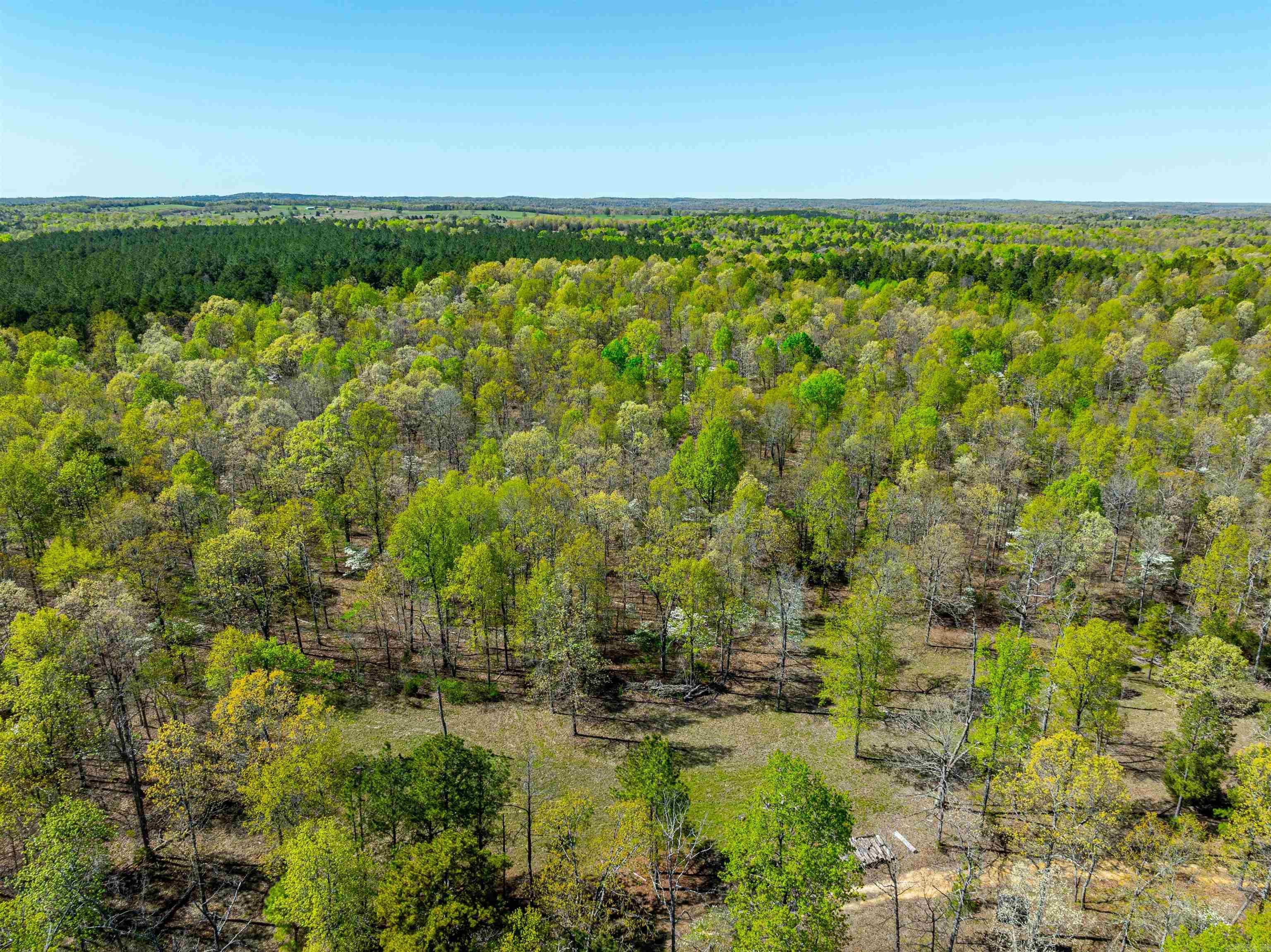 Photo 14 - Vacant Land for sale – 0  Everett Trl   Oxford, AR