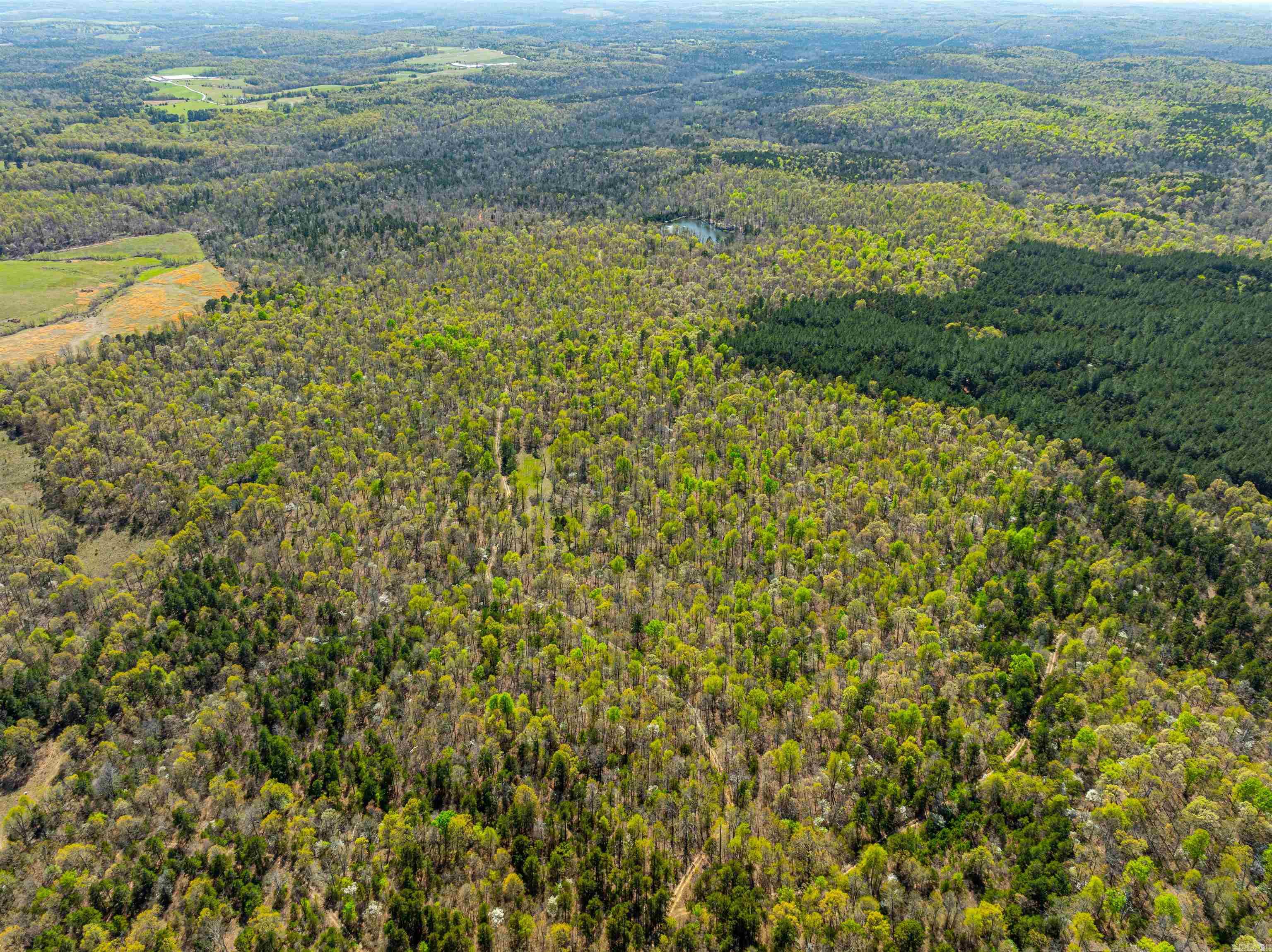 Photo 15 - Vacant Land for sale – 0  Everett Trl   Oxford, AR