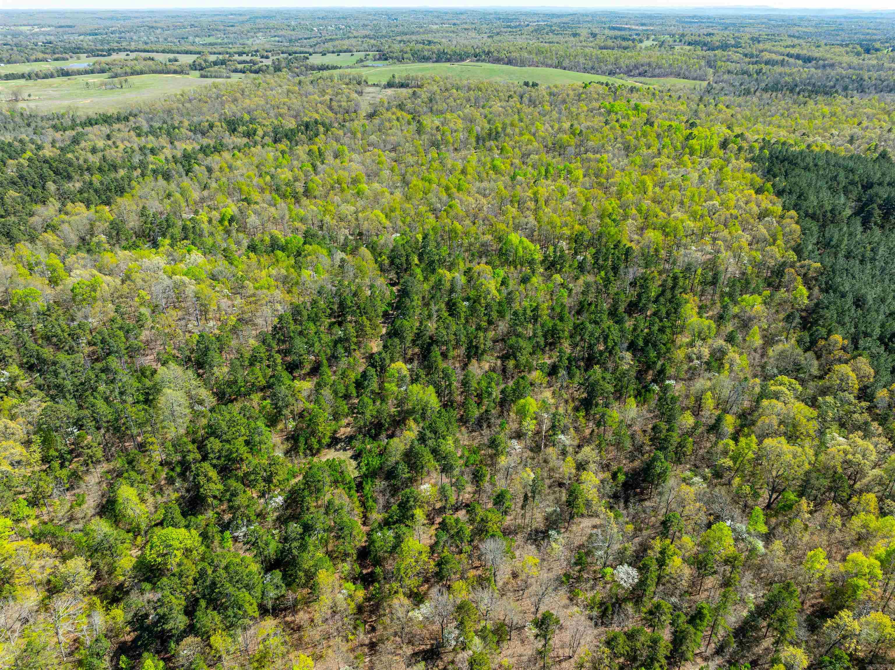 Photo 19 - Vacant Land for sale – 0  Everett Trl   Oxford, AR