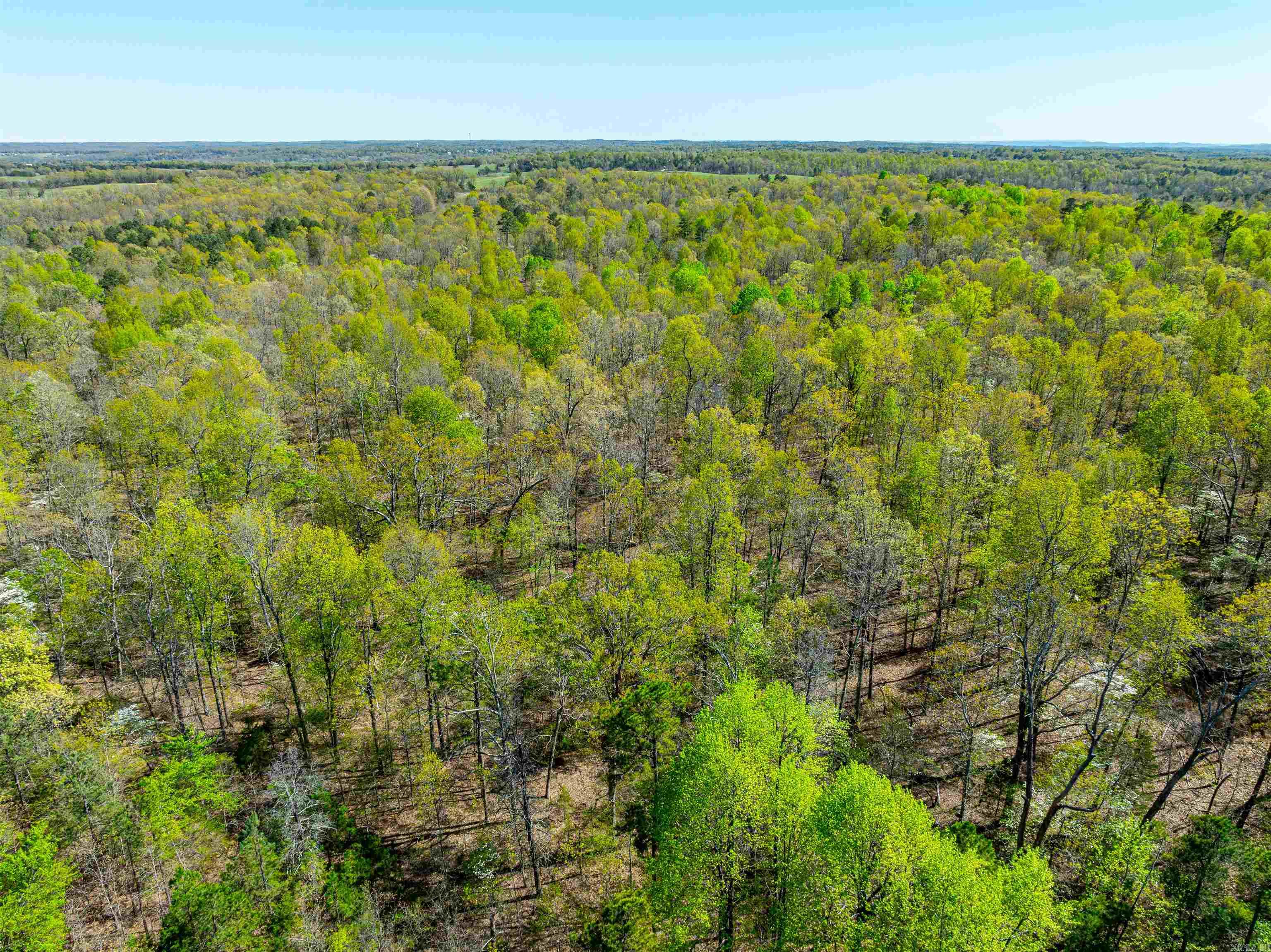 Photo 20 - Vacant Land for sale – 0  Everett Trl   Oxford, AR