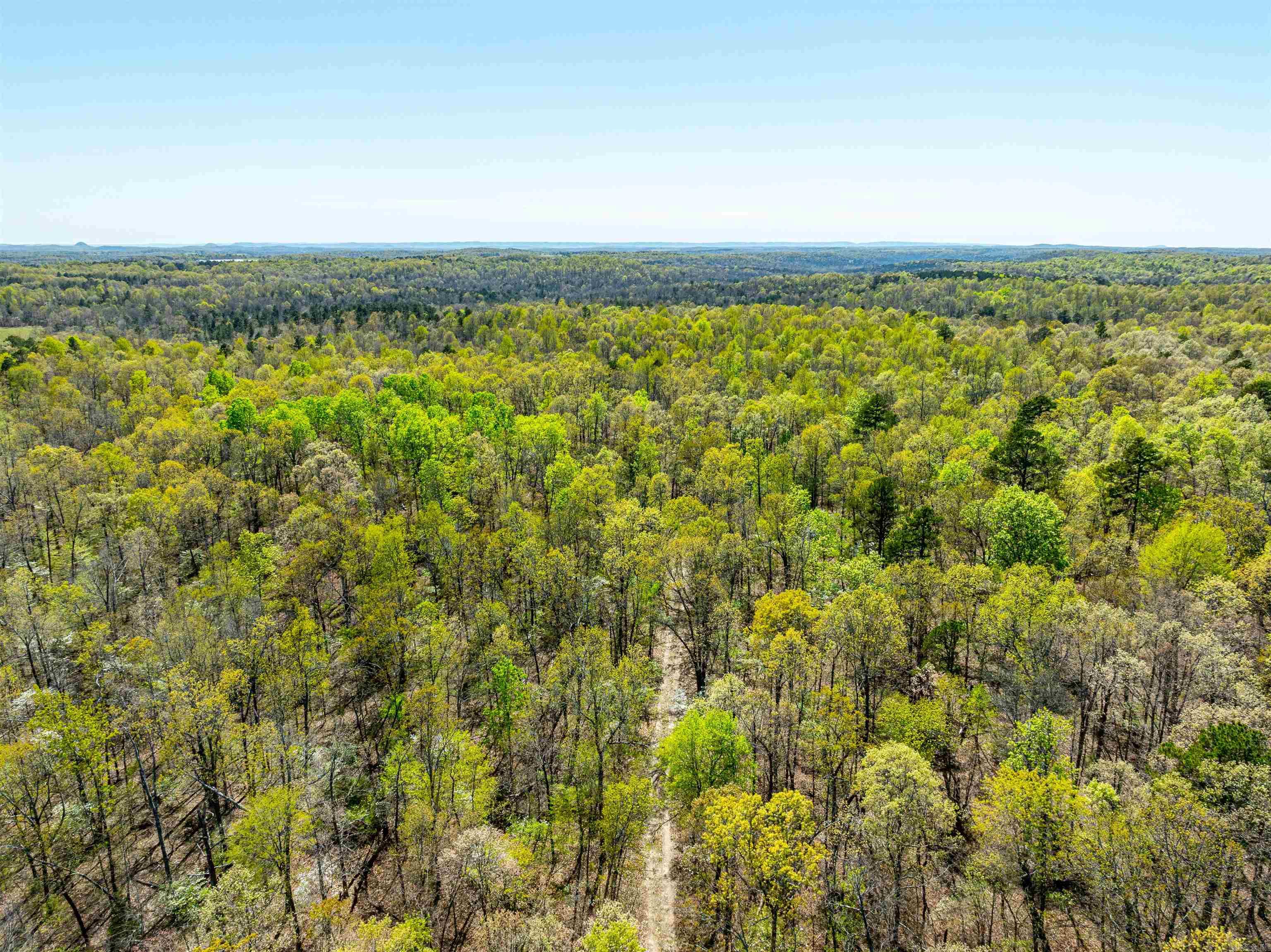 Photo 21 - Vacant Land for sale – 0  Everett Trl   Oxford, AR