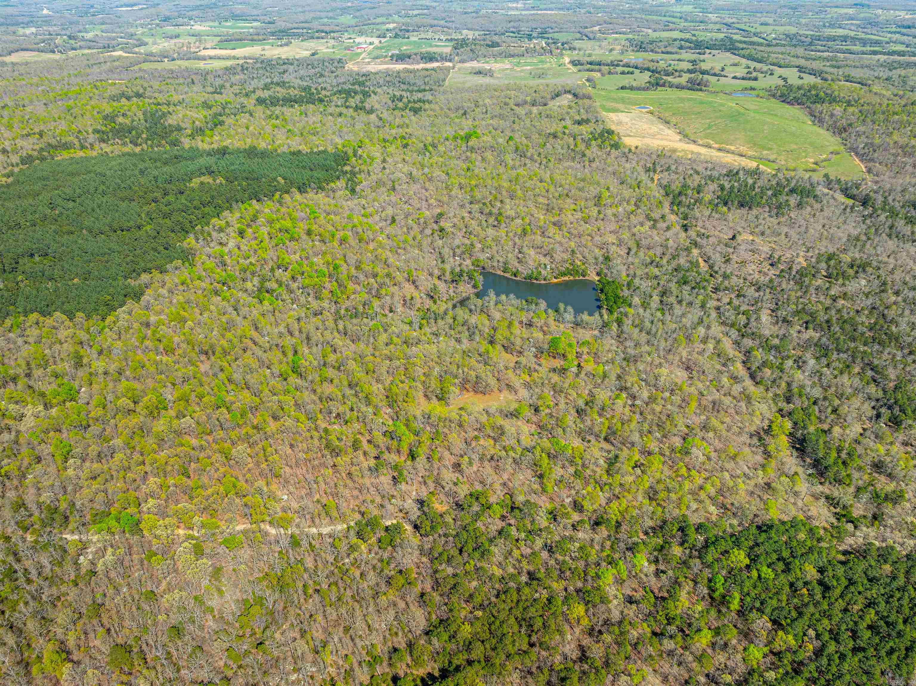Photo 22 - Vacant Land for sale – 0  Everett Trl   Oxford, AR