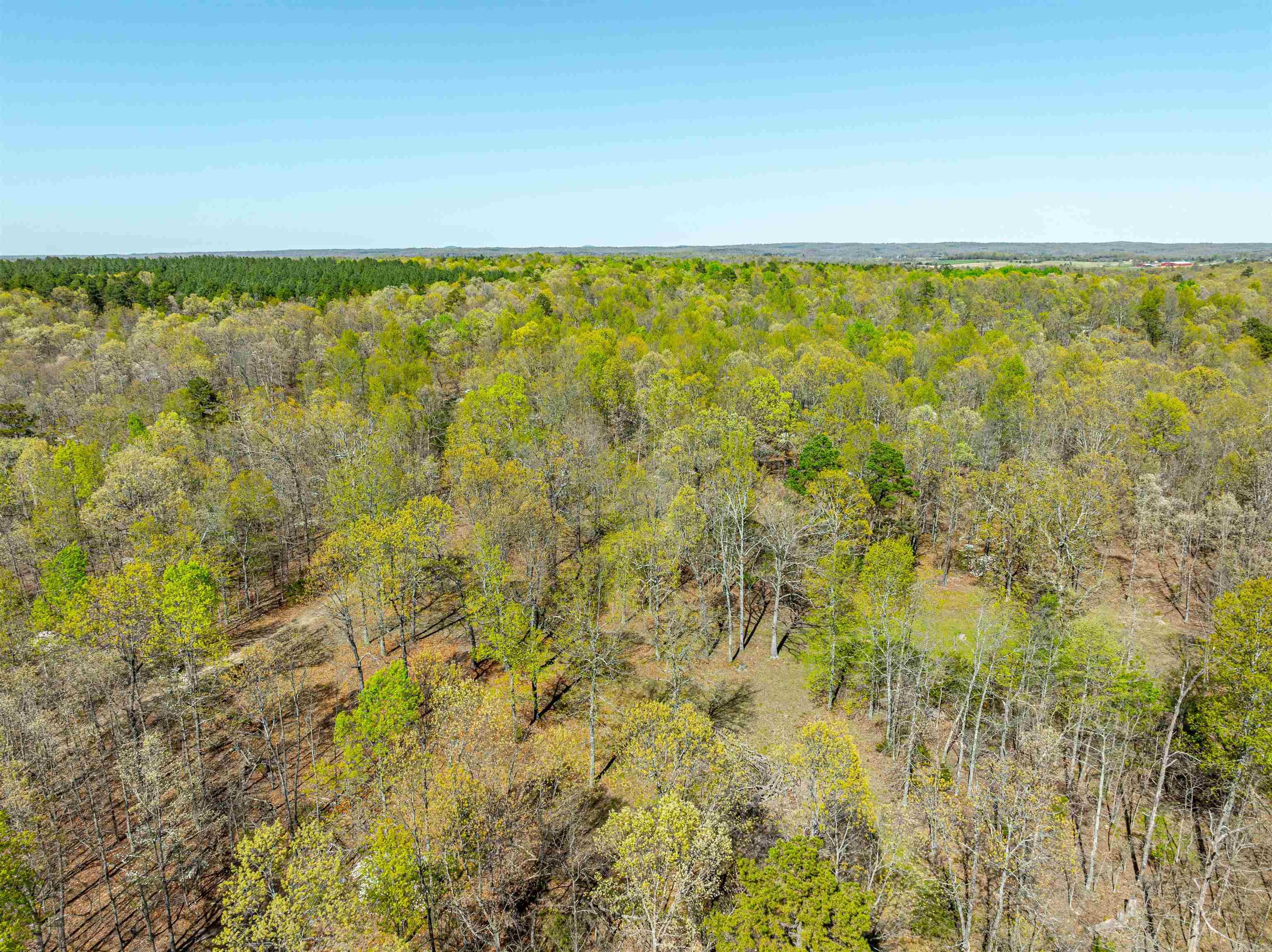 Photo 31 - Vacant Land for sale – 0  Everett Trl   Oxford, AR