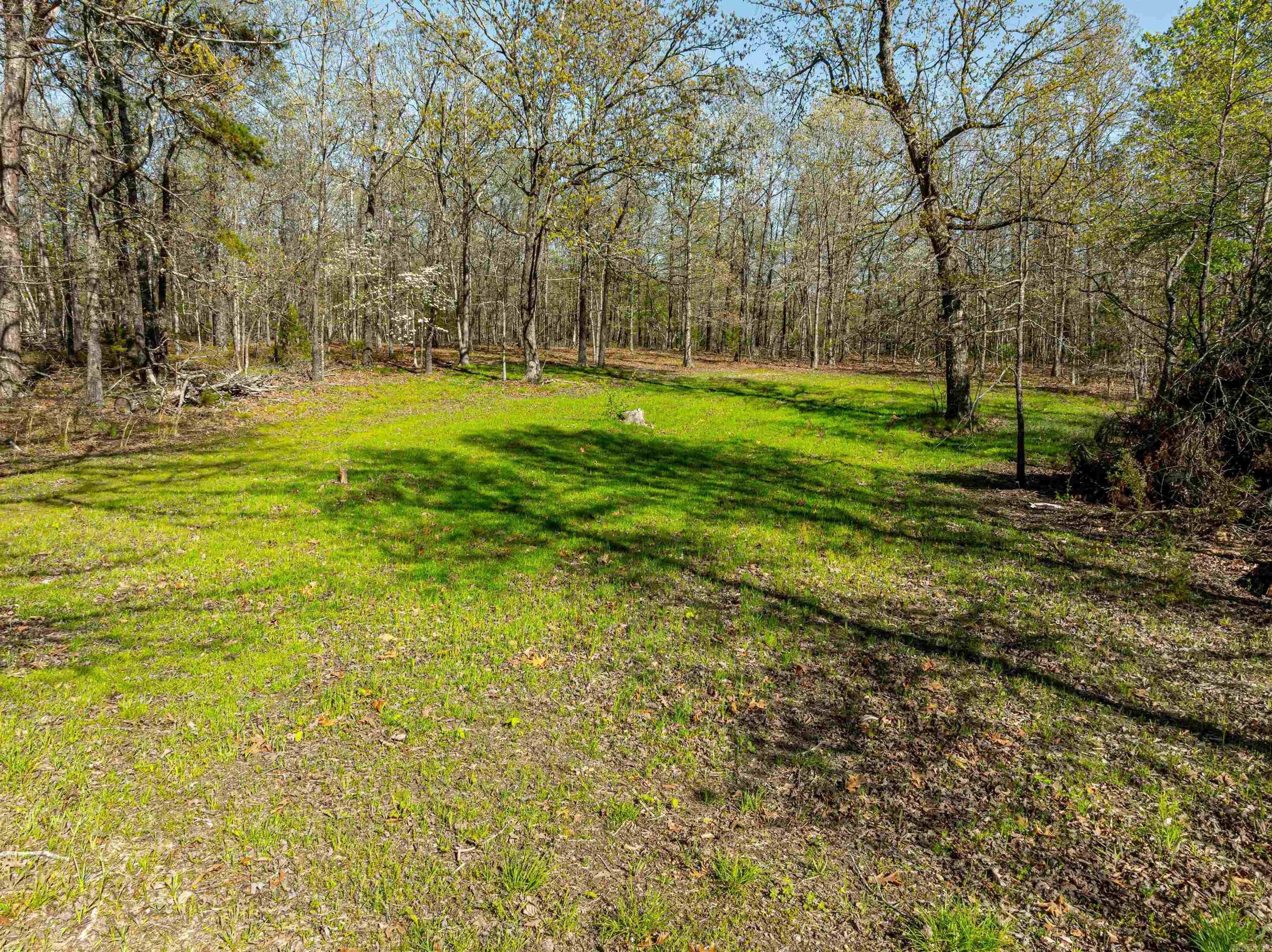 Photo 6 - Vacant Land for sale – 0  Everett Trl   Oxford, AR