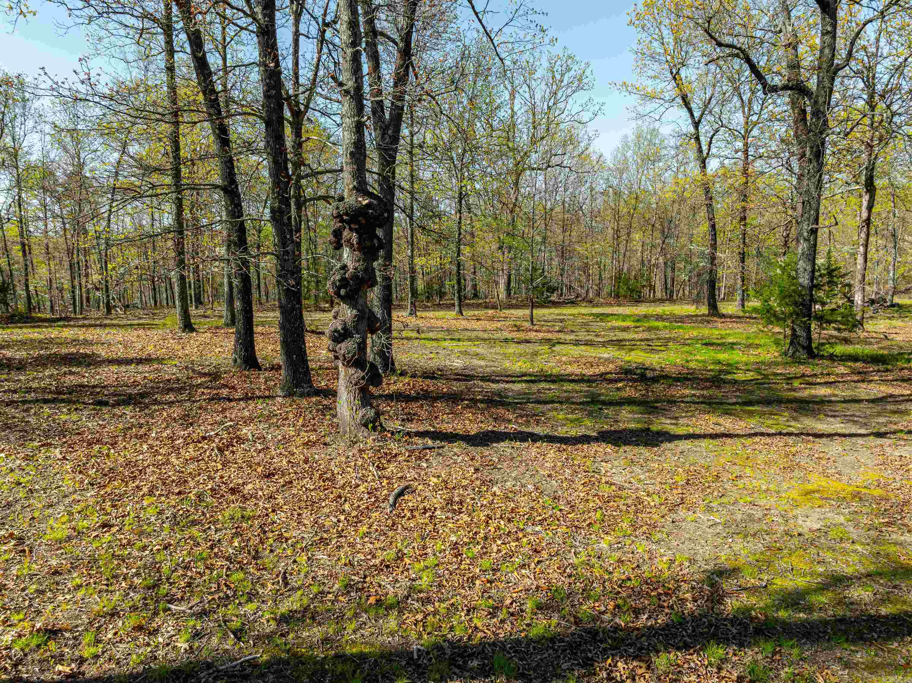 Photo 7 - Vacant Land for sale – 0  Everett Trl   Oxford, AR