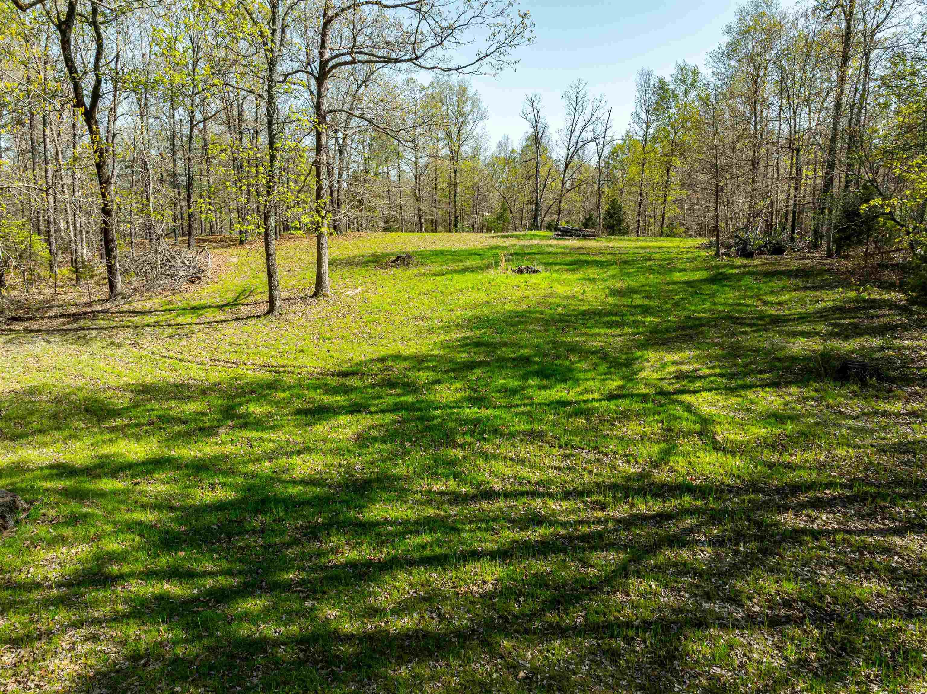 Photo 8 - Vacant Land for sale – 0  Everett Trl   Oxford, AR