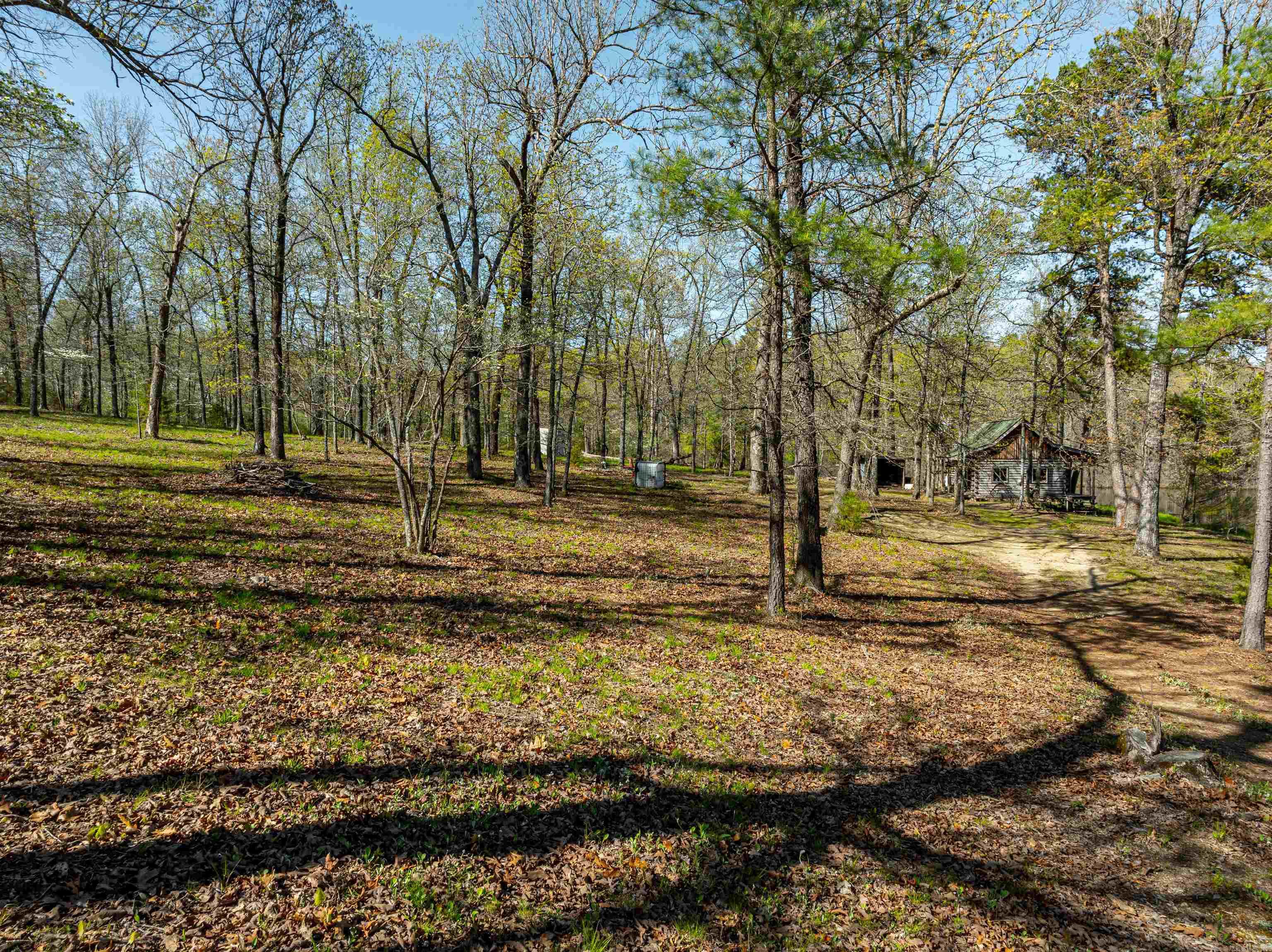 Photo 9 - Vacant Land for sale – 0  Everett Trl   Oxford, AR