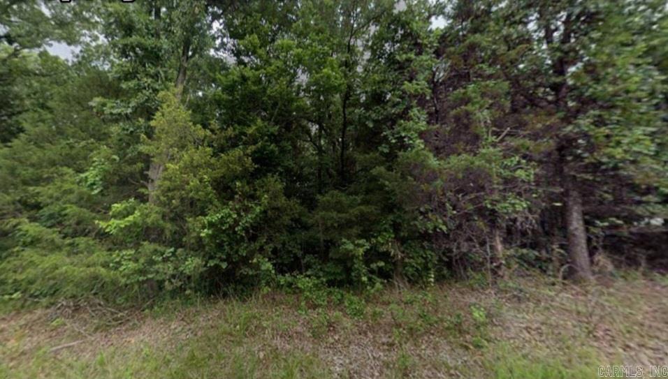 Photo 4 - Vacant Land for sale – Lot 11  Ponderosa   Ozark Acres, AR
