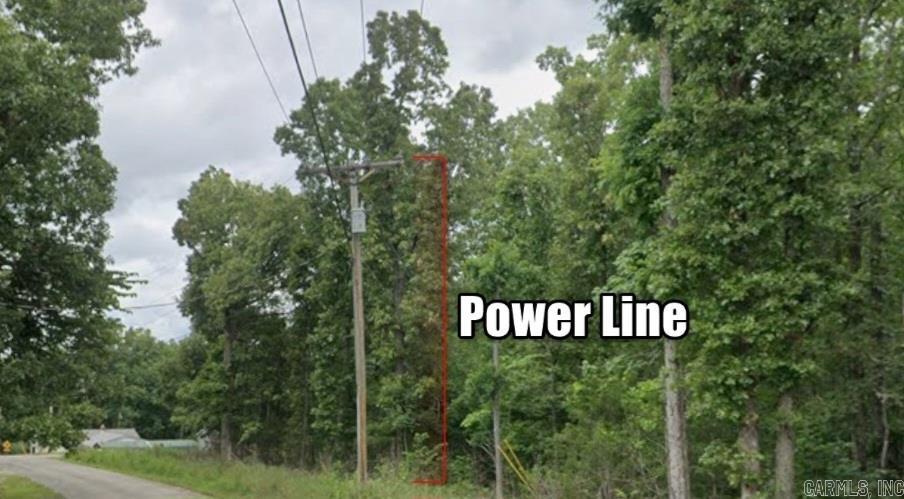 Photo 5 - Vacant Land for sale – Lot 11  Ponderosa   Ozark Acres, AR