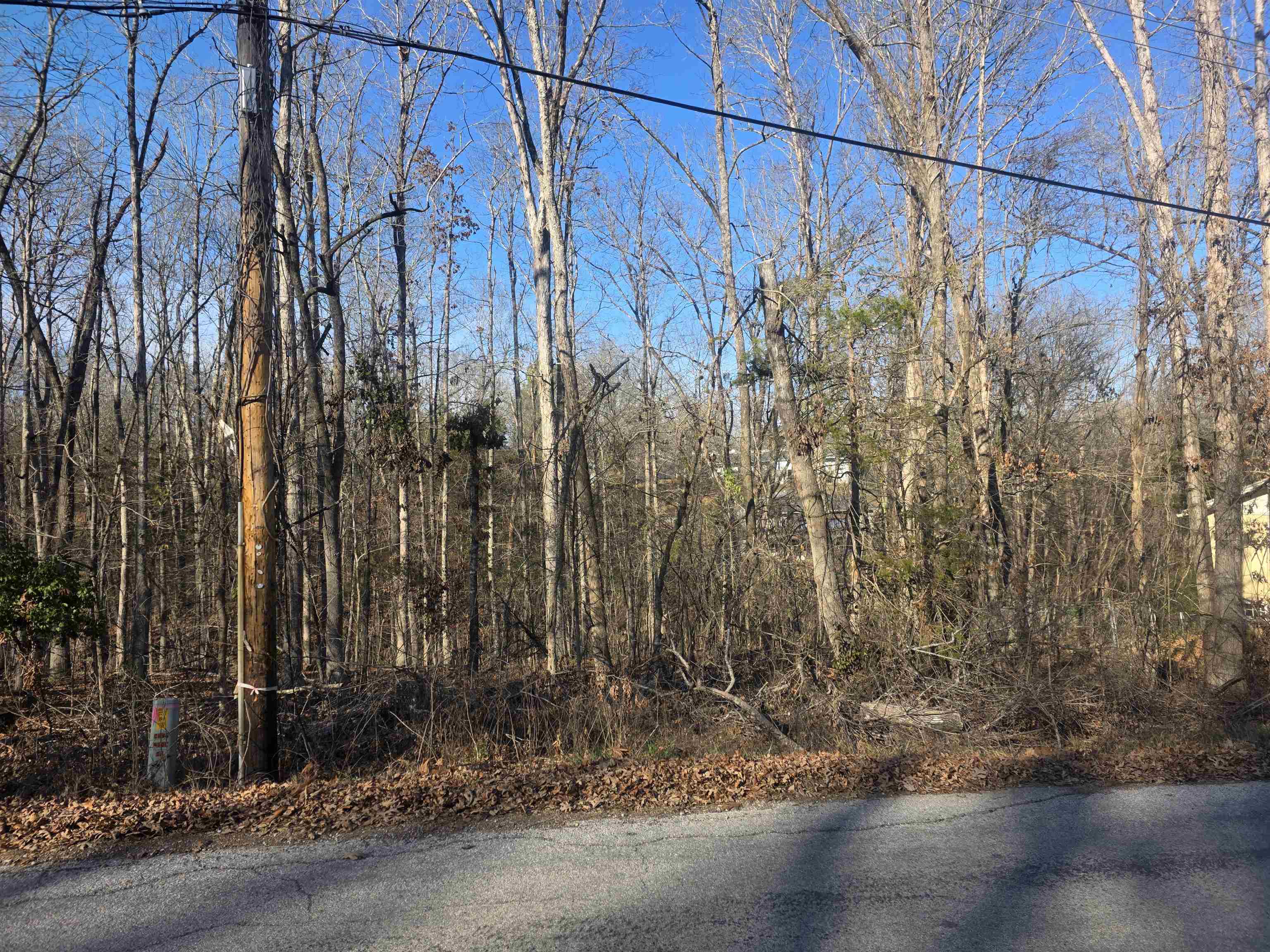 Photo 2 - Vacant Land for sale – L-4 B-4  Powhatan   Cherokee Village, AR