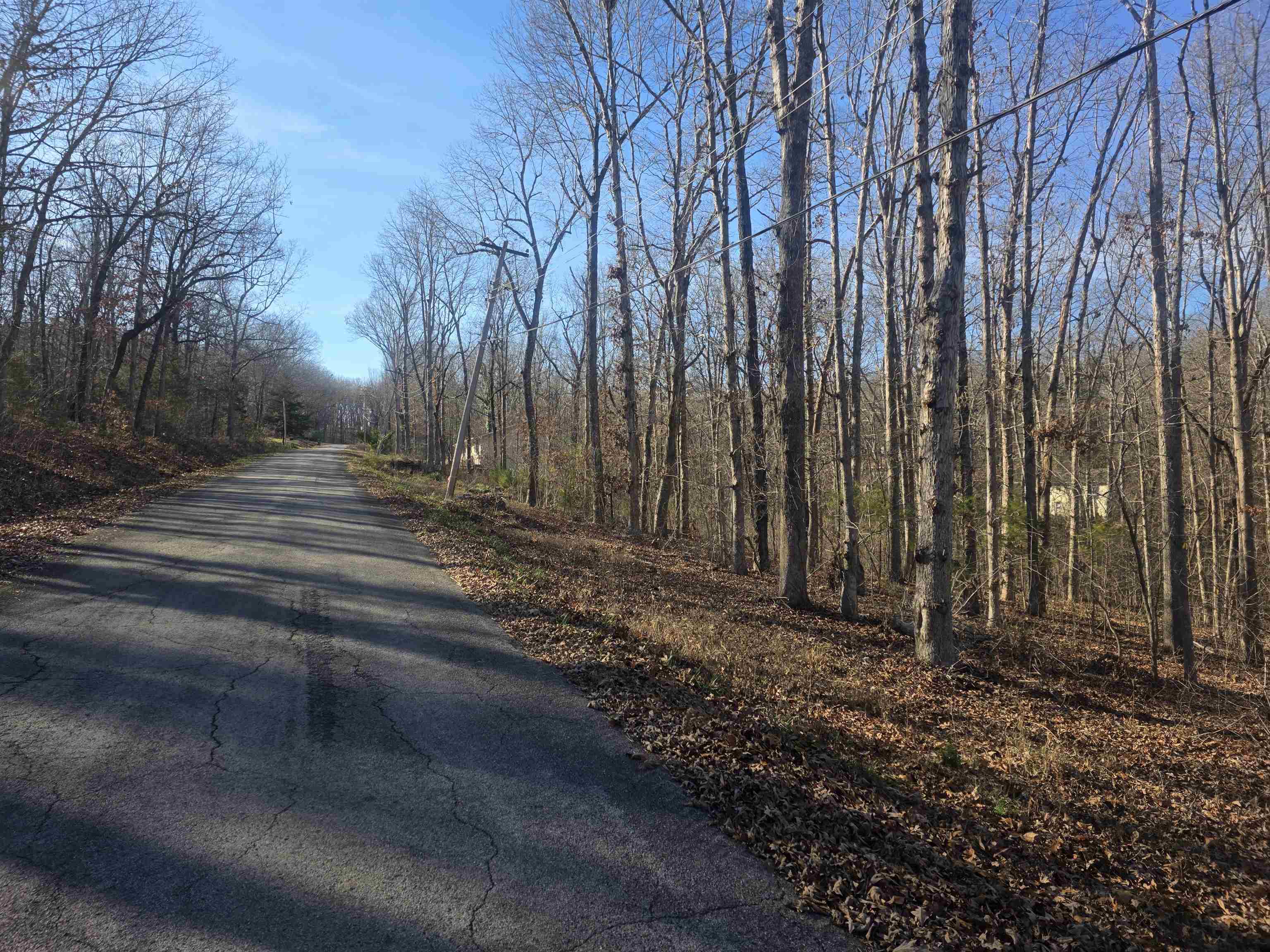 Photo 12 - Vacant Land for sale – L-4 B-4  Powhatan   Cherokee Village, AR