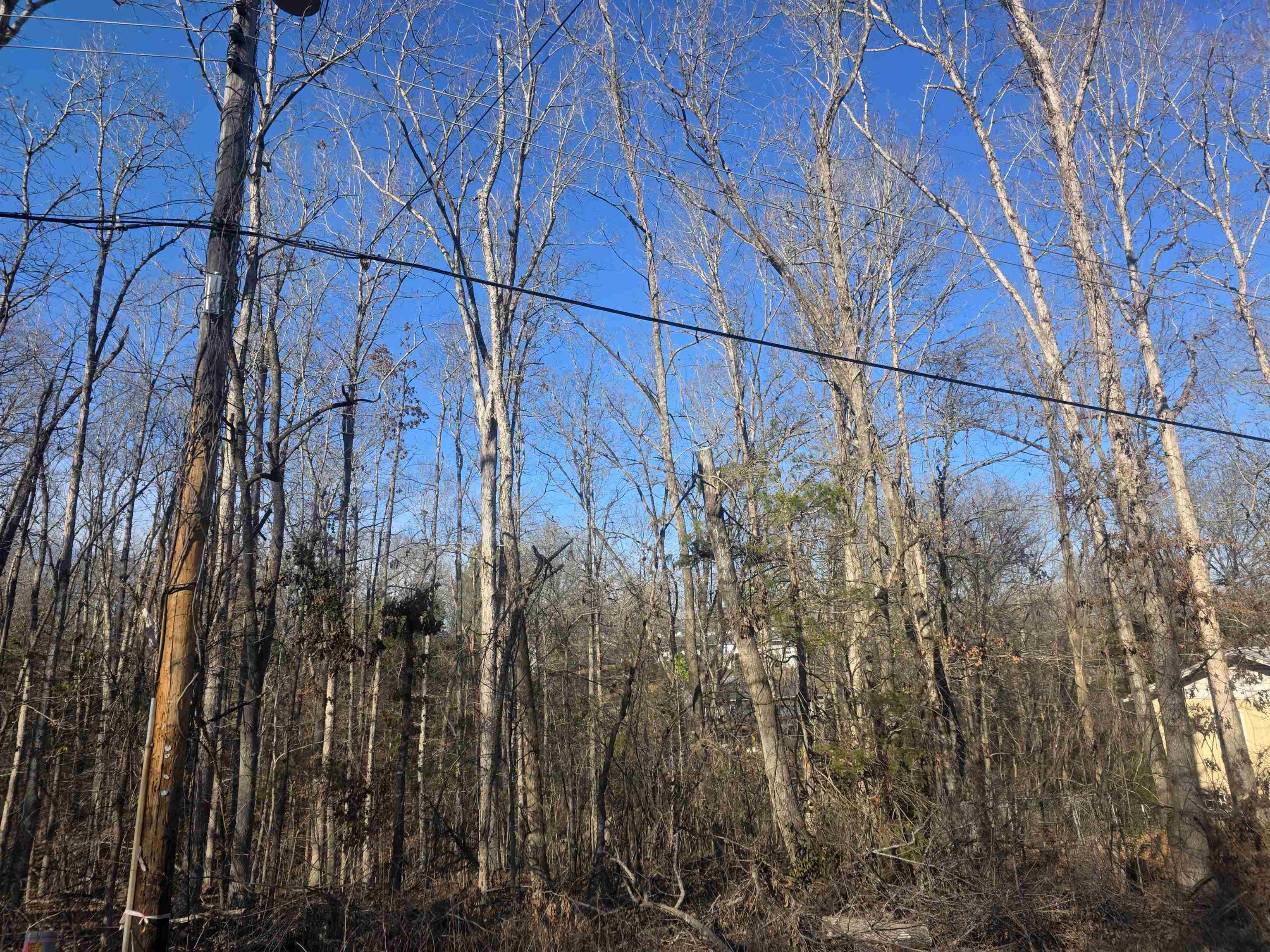 Photo 3 - Vacant Land for sale – L-4 B-4  Powhatan   Cherokee Village, AR