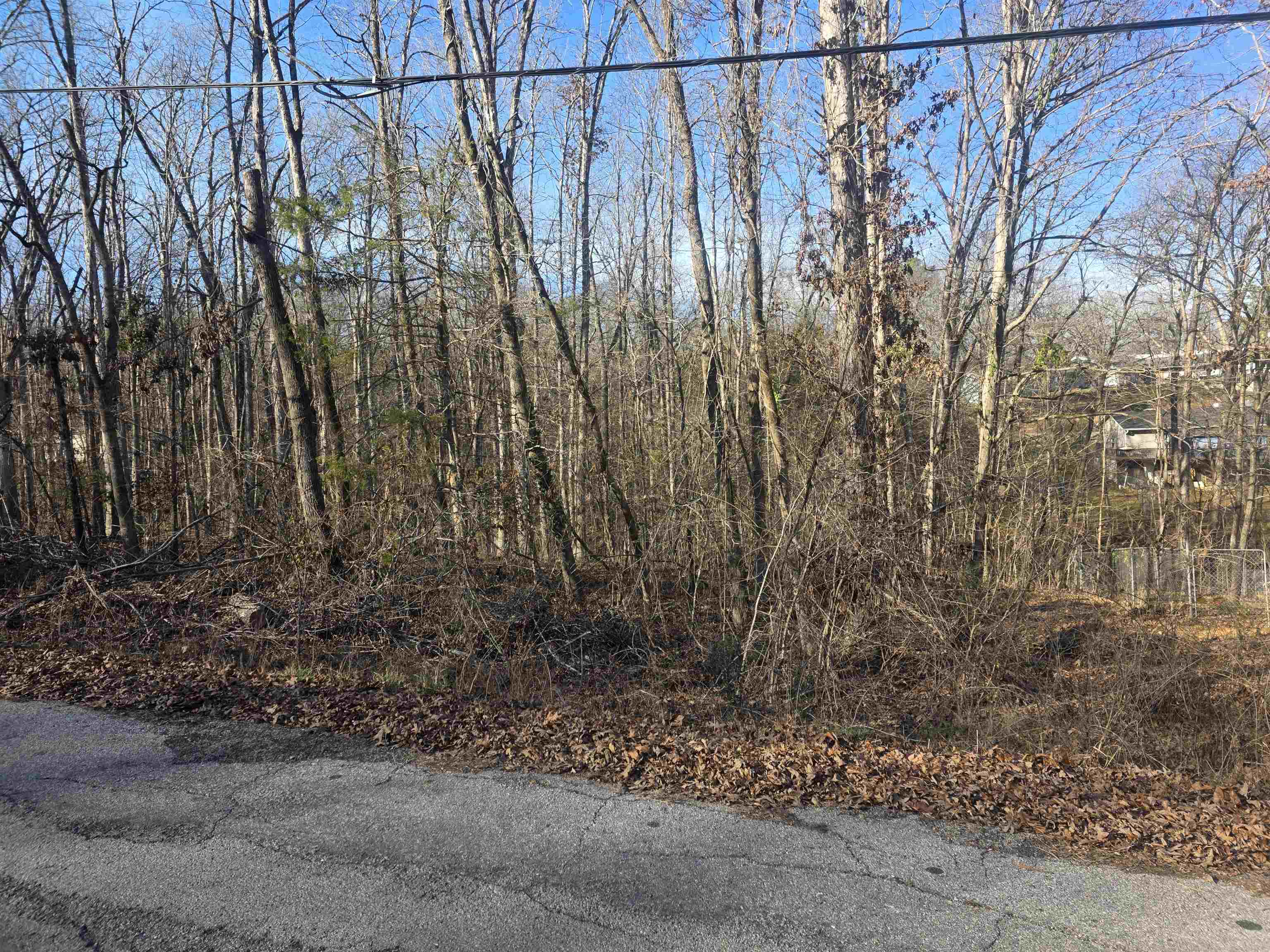 Photo 4 - Vacant Land for sale – L-4 B-4  Powhatan   Cherokee Village, AR