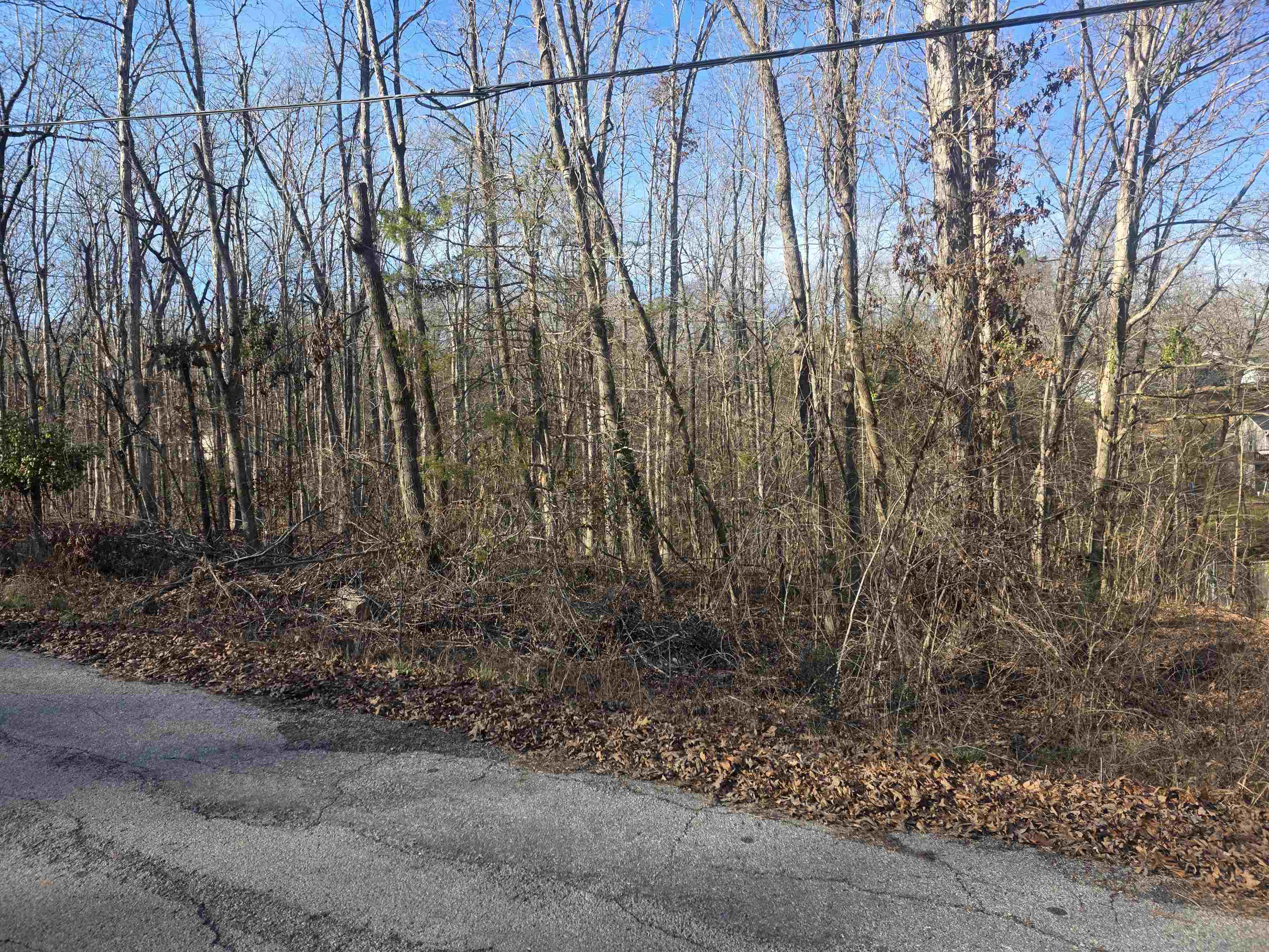 Photo 5 - Vacant Land for sale – L-4 B-4  Powhatan   Cherokee Village, AR