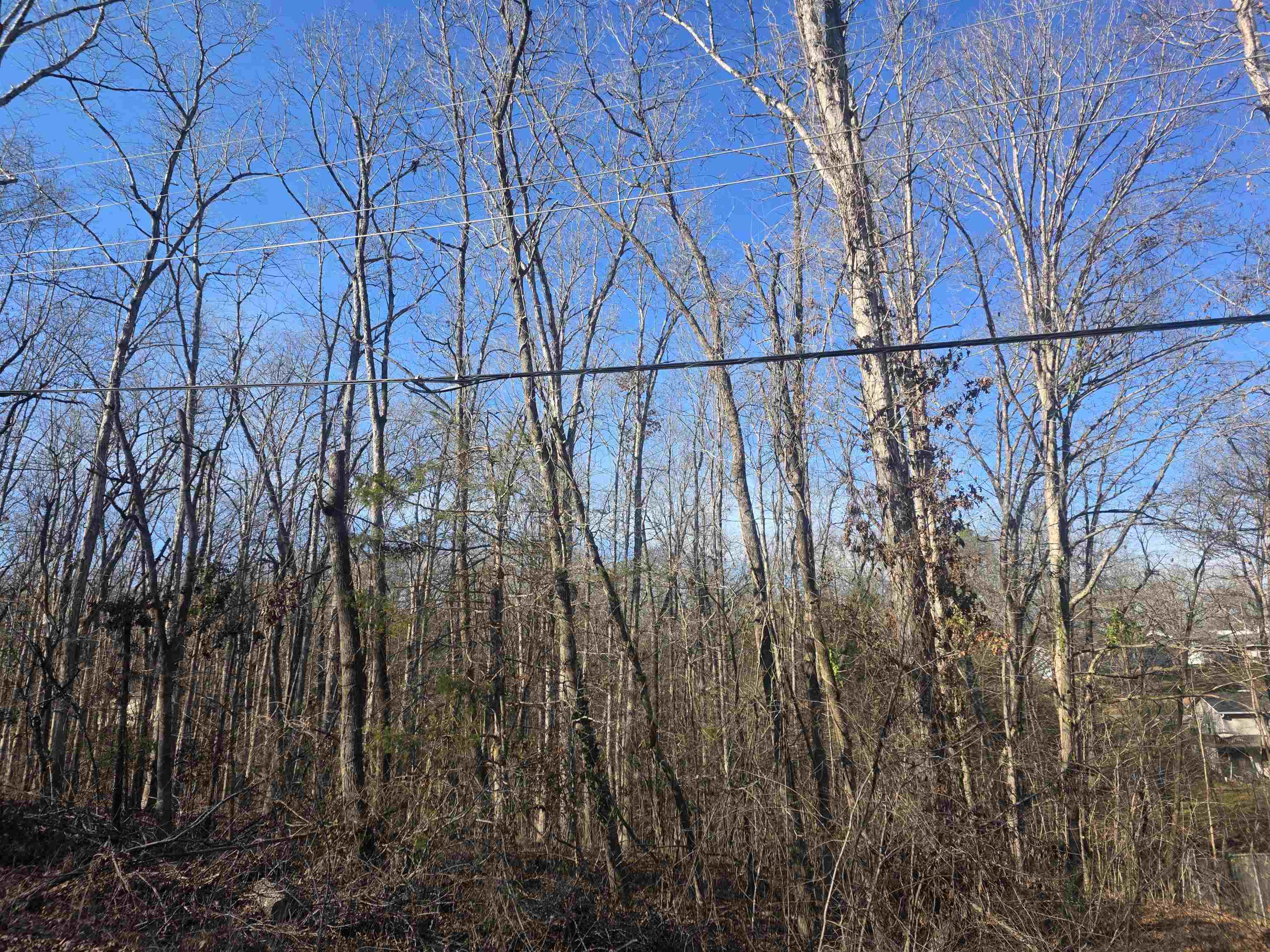 Photo 6 - Vacant Land for sale – L-4 B-4  Powhatan   Cherokee Village, AR