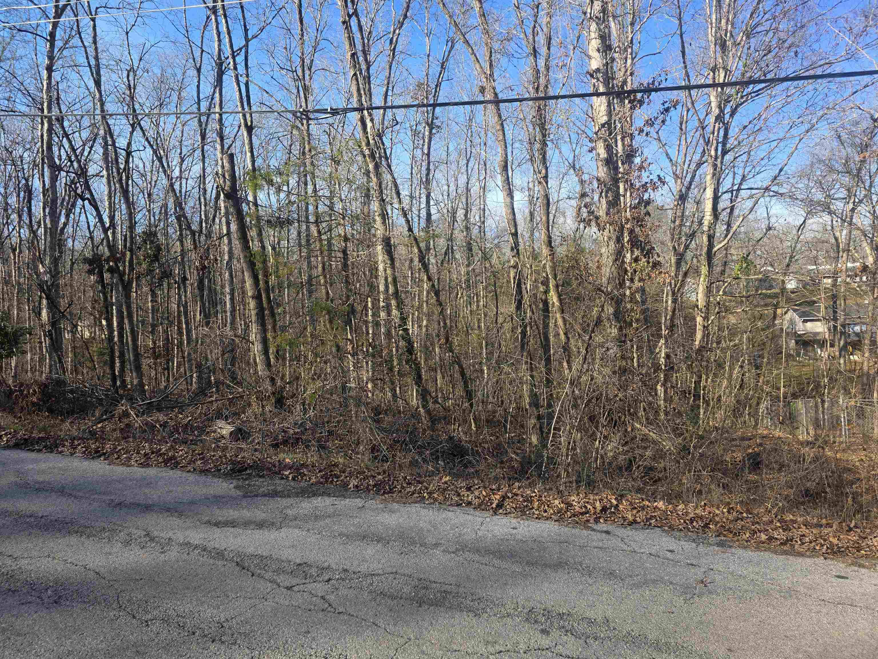 Photo 7 - Vacant Land for sale – L-4 B-4  Powhatan   Cherokee Village, AR