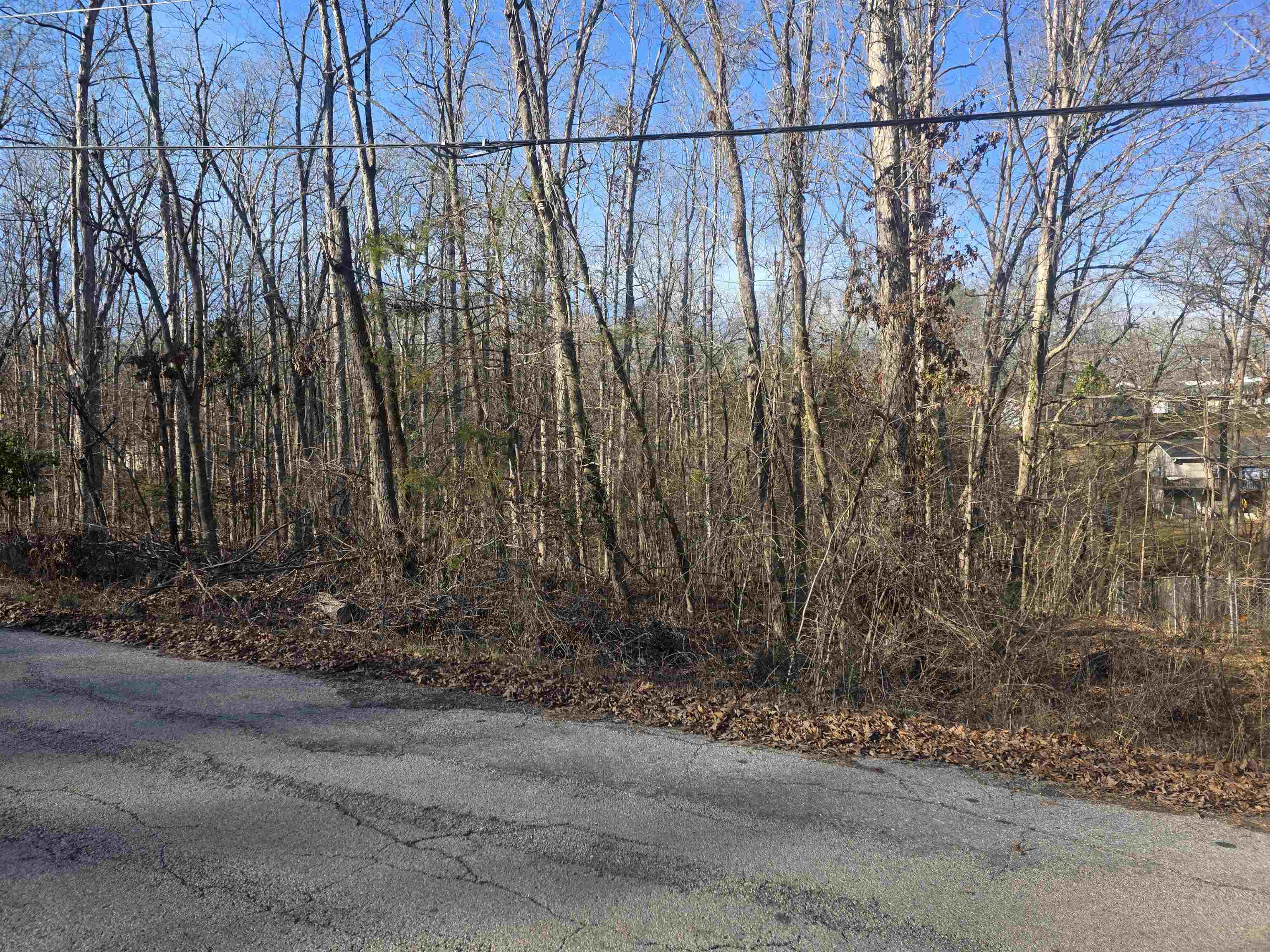 Photo 8 - Vacant Land for sale – L-4 B-4  Powhatan   Cherokee Village, AR