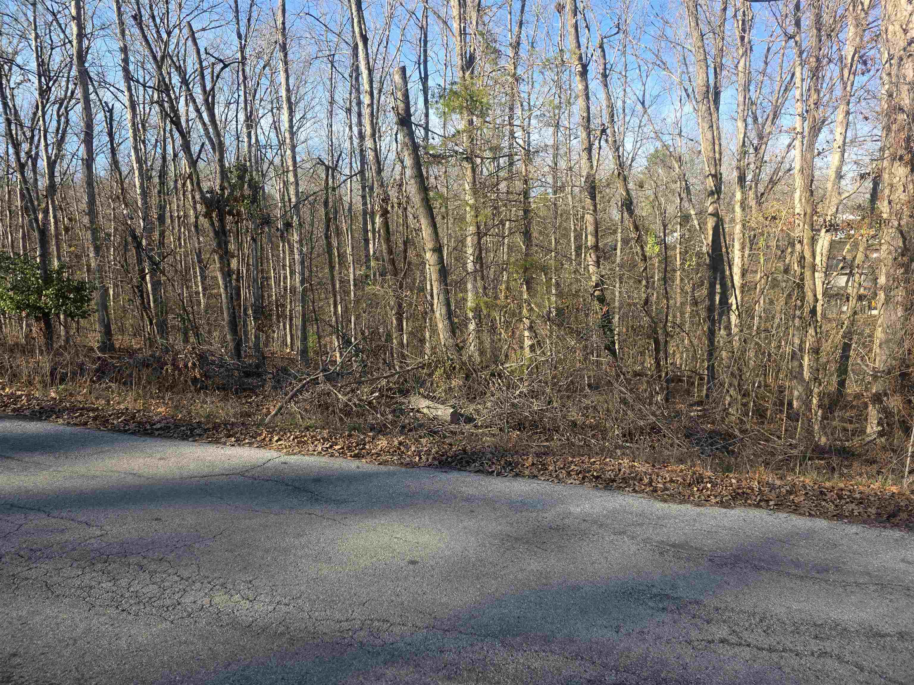 Photo 9 - Vacant Land for sale – L-4 B-4  Powhatan   Cherokee Village, AR