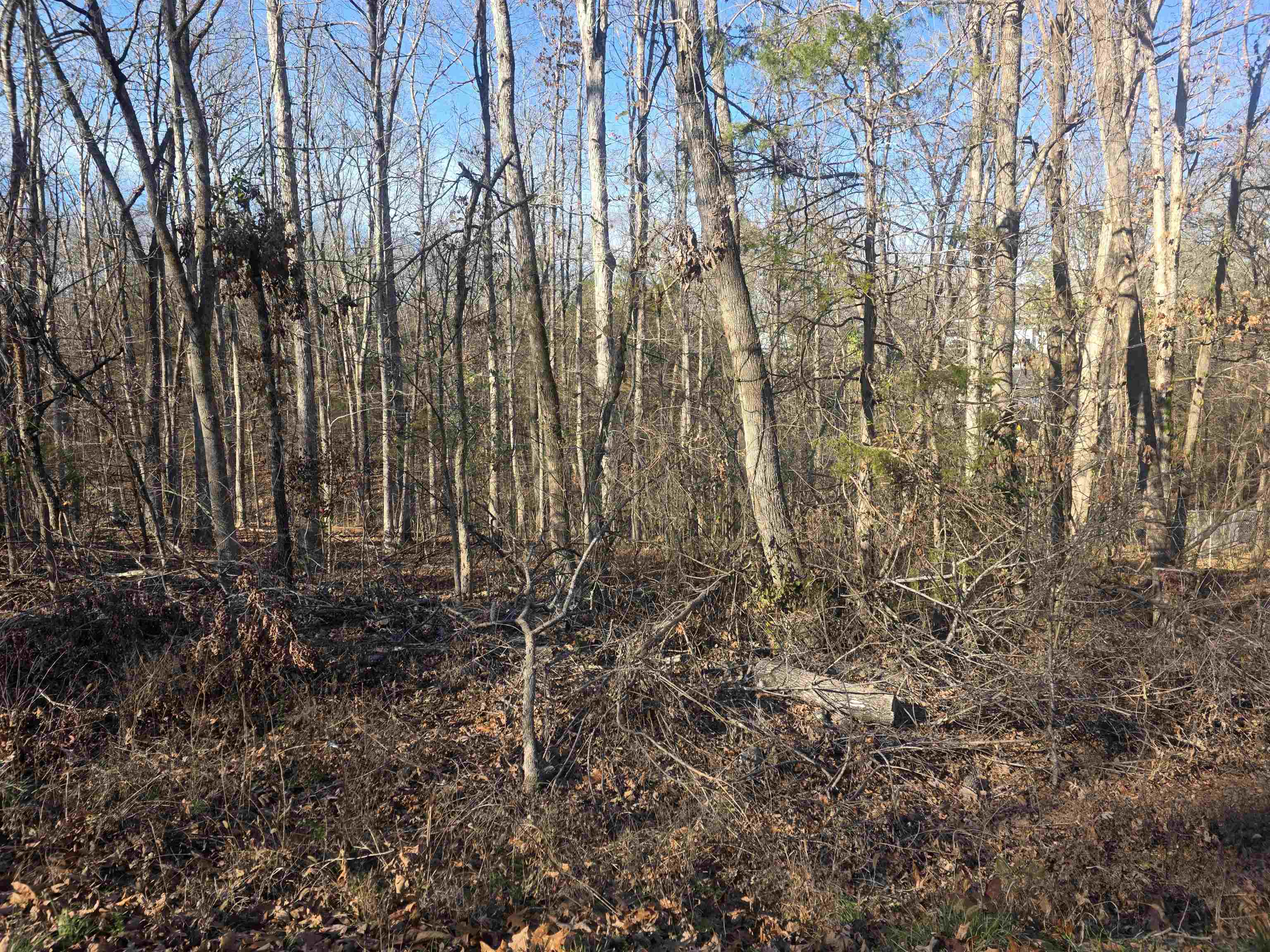 Photo 10 - Vacant Land for sale – L-4 B-4  Powhatan   Cherokee Village, AR