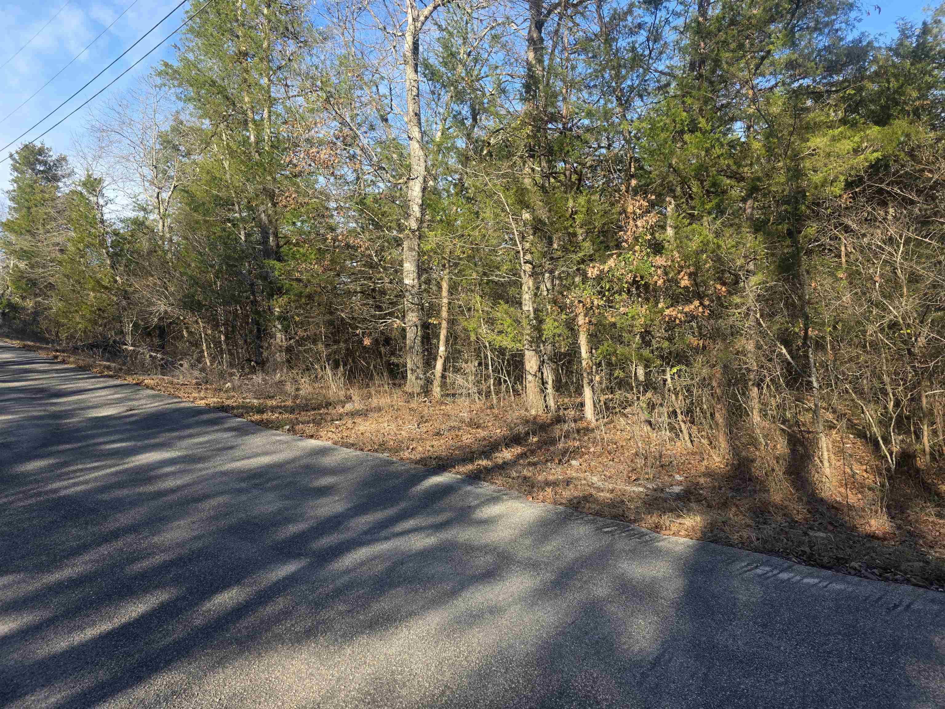 Photo 2 - Vacant Land for sale – L-16, B-4  Indian   Cherokee Village, AR