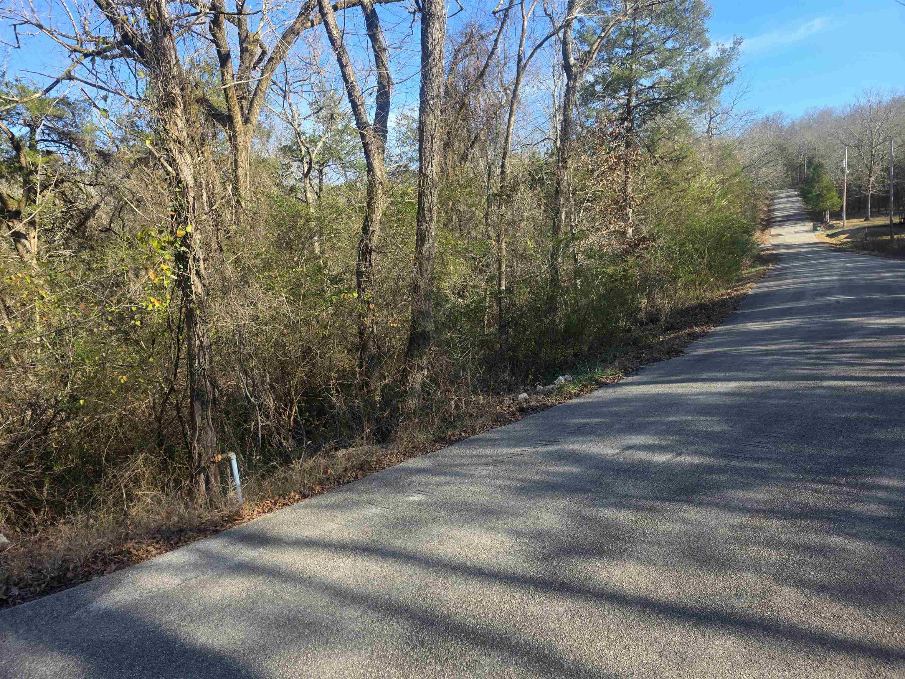 Photo 3 - Vacant Land for sale – L-16, B-4  Indian   Cherokee Village, AR