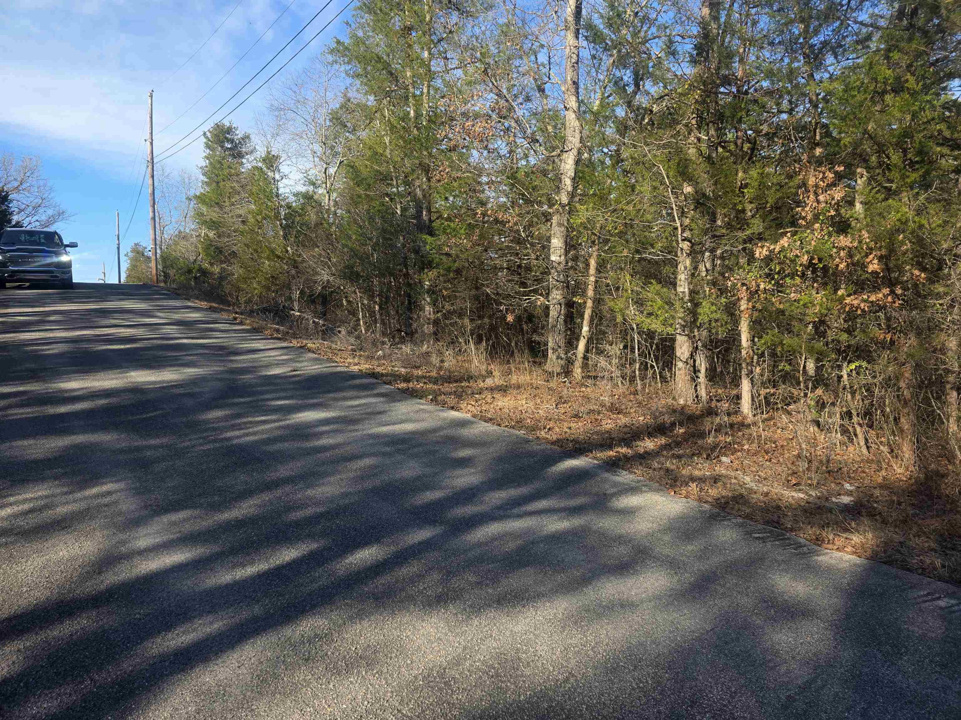 Photo 4 - Vacant Land for sale – L-16, B-4  Indian   Cherokee Village, AR