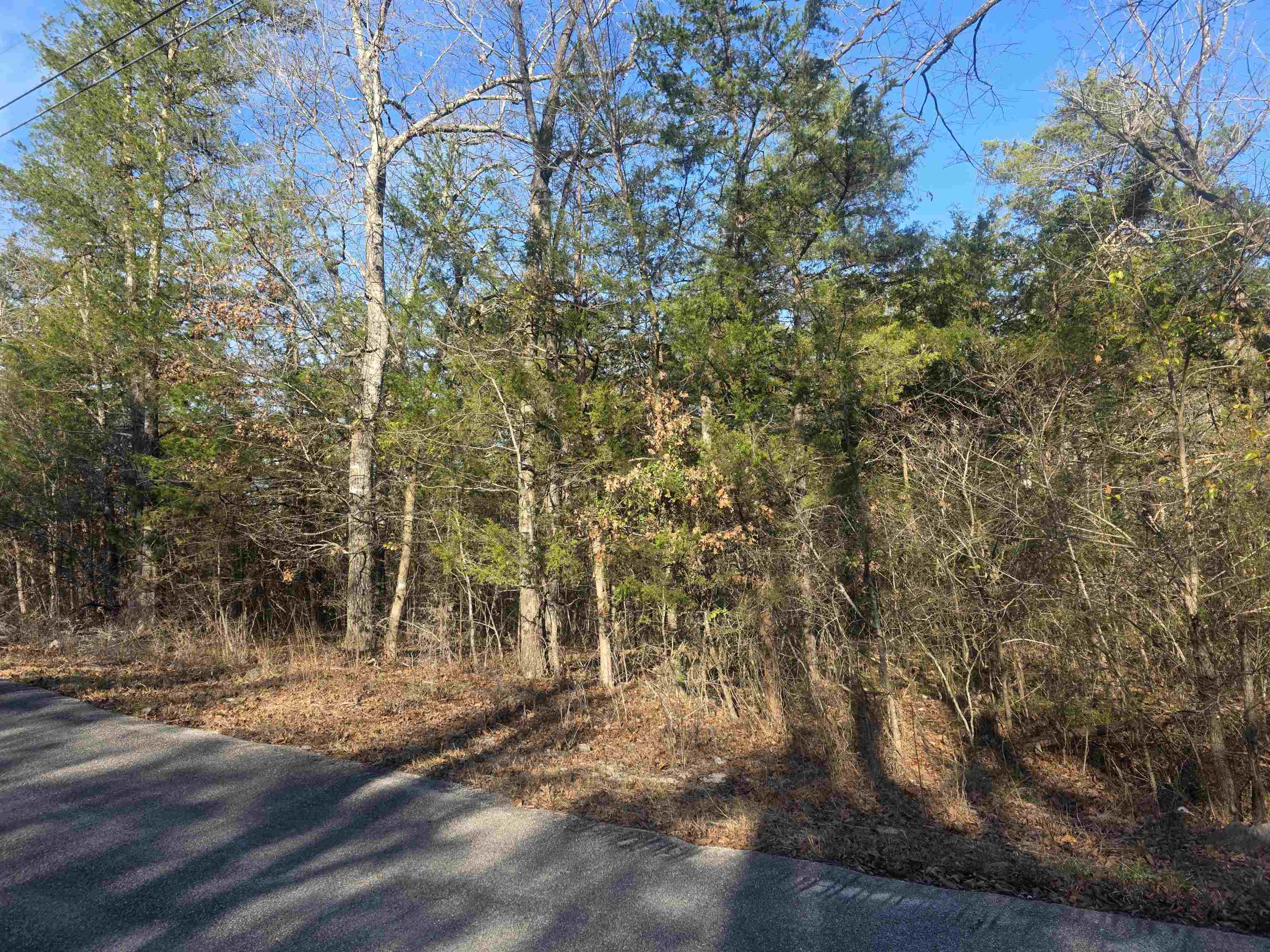 Photo 5 - Vacant Land for sale – L-16, B-4  Indian   Cherokee Village, AR