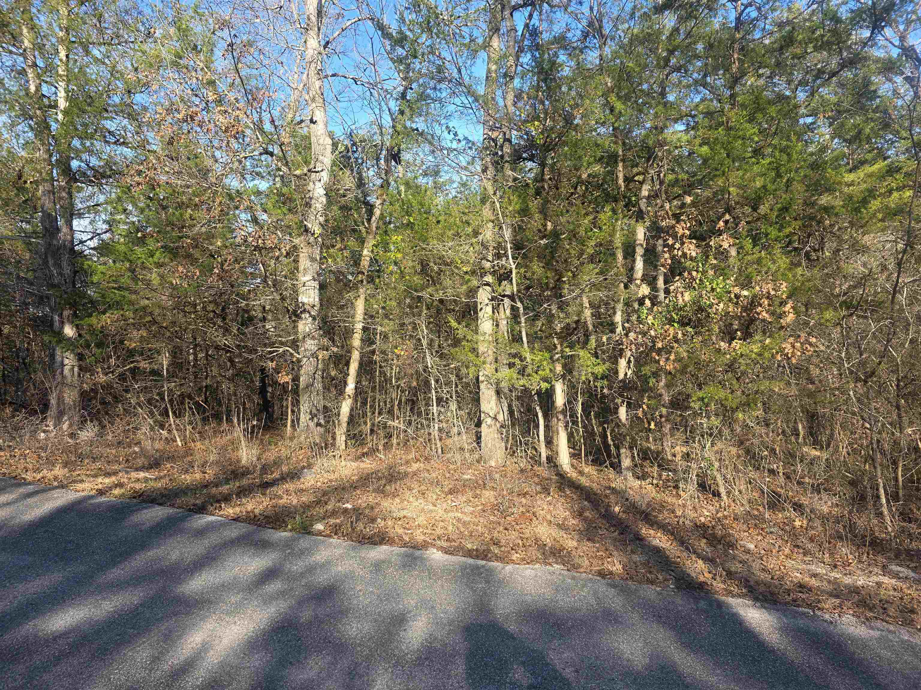Photo 6 - Vacant Land for sale – L-16, B-4  Indian   Cherokee Village, AR
