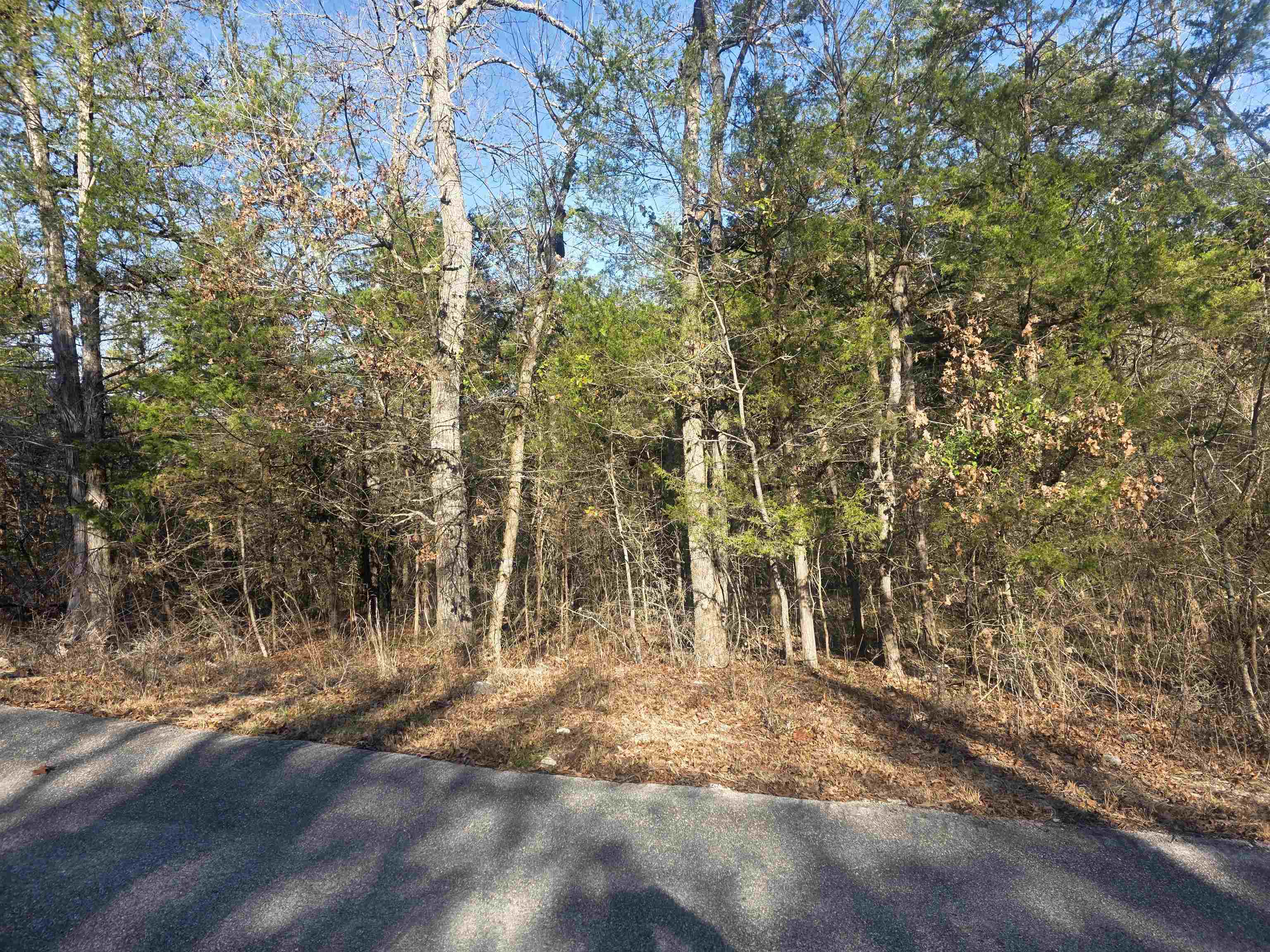 Photo 7 - Vacant Land for sale – L-16, B-4  Indian   Cherokee Village, AR