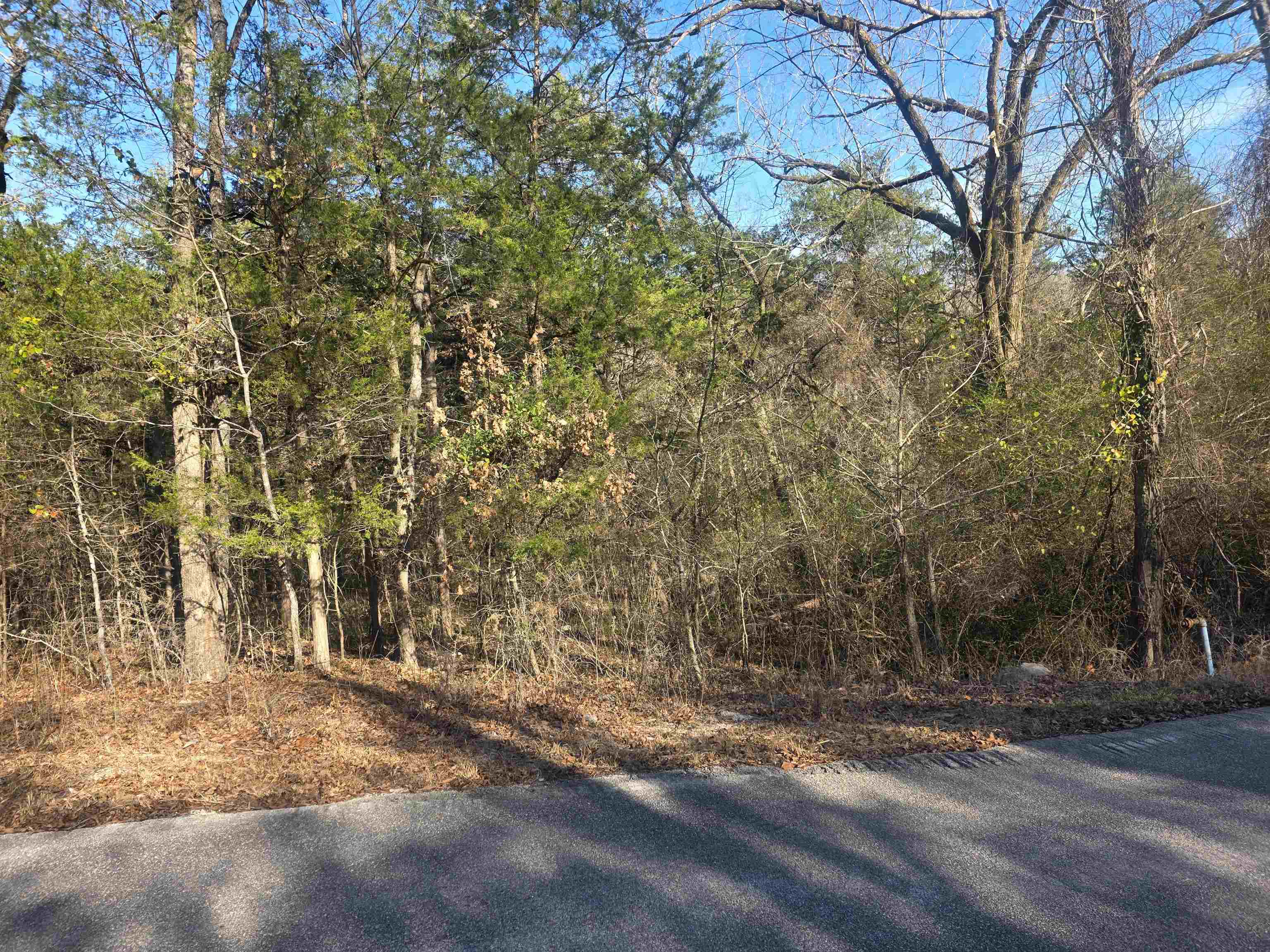 Photo 8 - Vacant Land for sale – L-16, B-4  Indian   Cherokee Village, AR